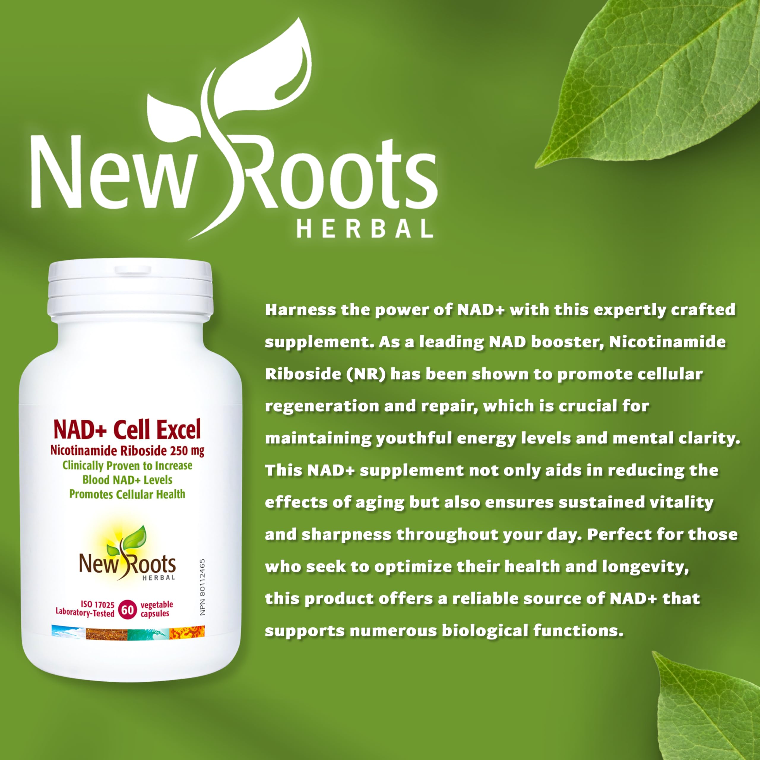NEWROOTS NAD+ ExCell, Nicotinamide Riboside 250mg 60 Veg Capsules, 30-Day Supply, Cellular Energy & Focus Support, Pure NAD+ for Vitality, Helps Maintain Cognitive Performance & Restful Sleep, Non-GMO