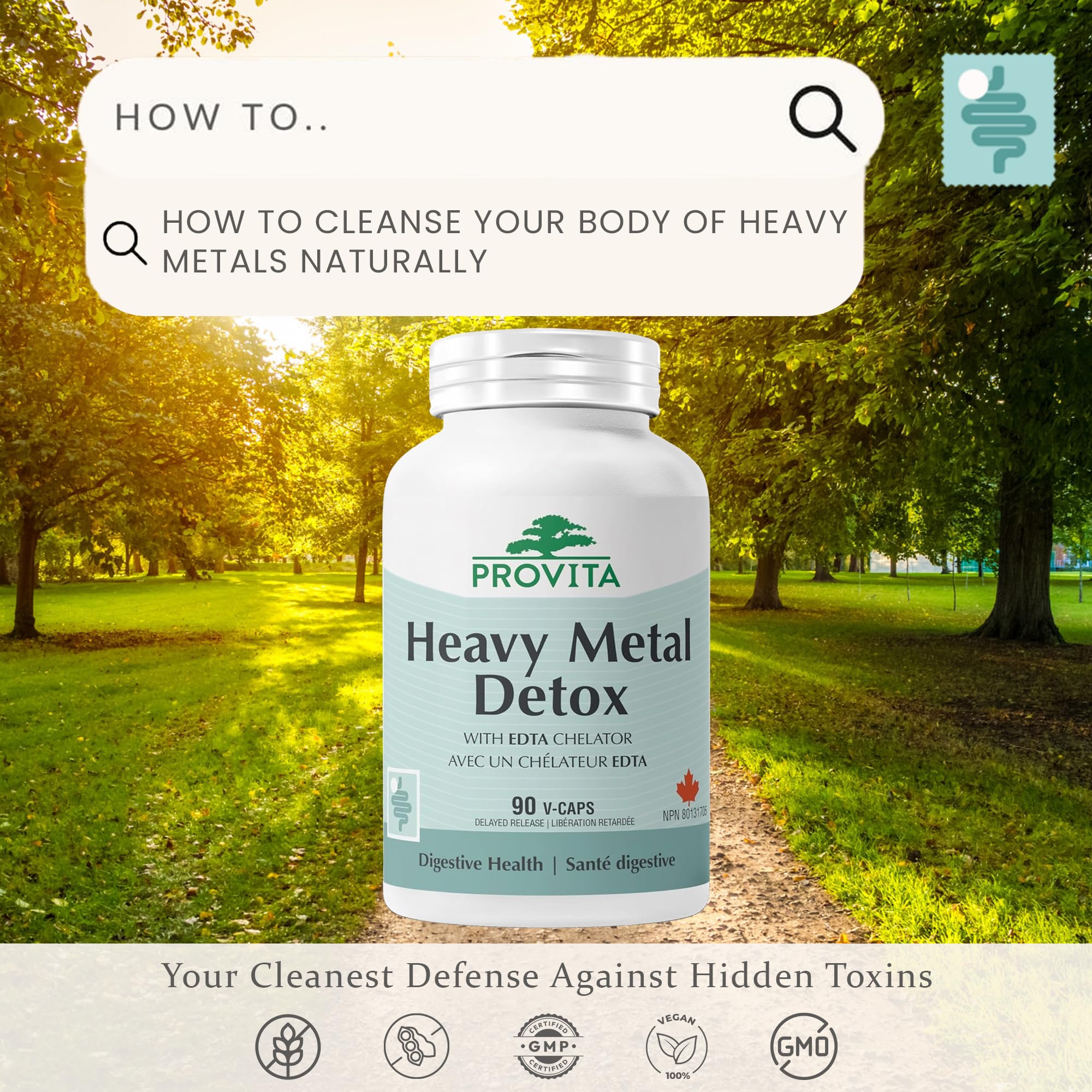 Provita Heavy Metal Detox Supplement with EDTA, Cilantro, NAC, L-Cysteine and Glutathione | Supports Natural Detox Pathways, Antioxidant Defense, and Cellular Health | Vegan, Non-GMO, Delayed Release Capsules | 90 Count