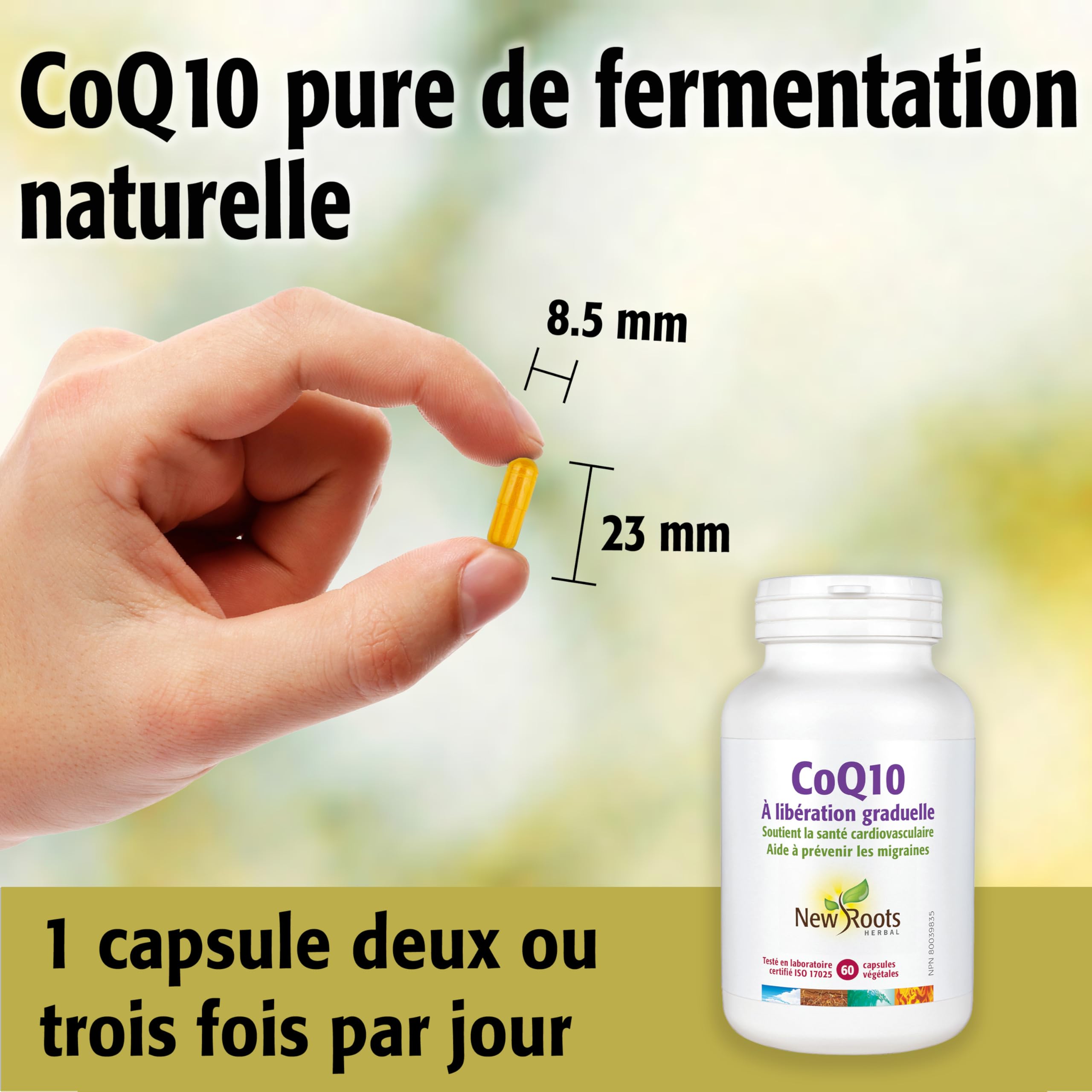 New Roots Herbal - CoQ10 Supplement (100mg) Slow Release Capsules - Ubiquinol Coenzyme Q10 (60 Capsules)
