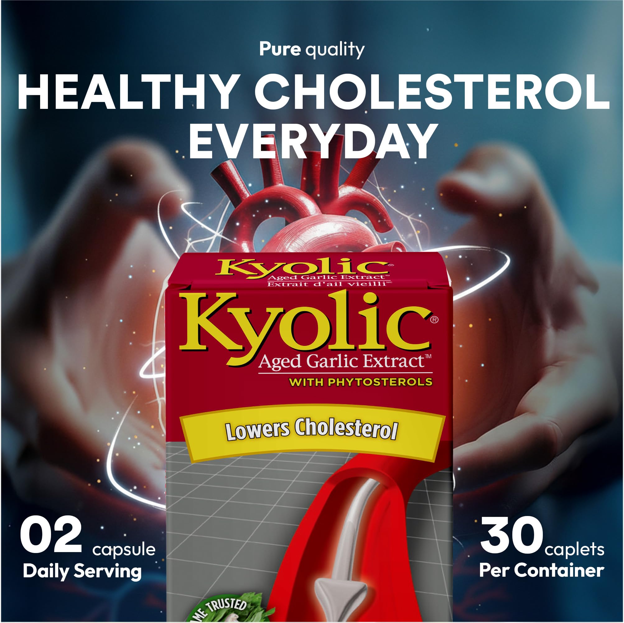 Extrait d'ail vieilli Kyolic avec phytostérols 600 mg, 30 gélules végétales inodores, favorise une bonne circulation et une fonction cardiovasculaire saine, soutient les niveaux d'homocystéine, sans gluten ni produits laitiers