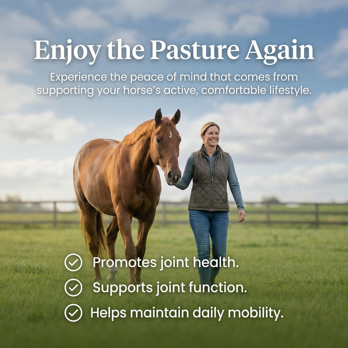 PURICA Horse Supplement, Hyaluronic Acid for Horses, 330g, 30 Day Supply