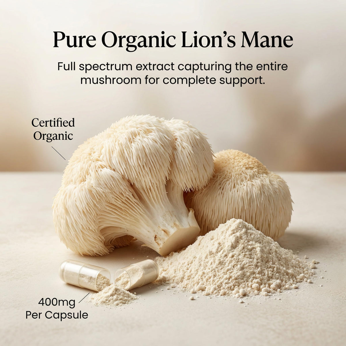 PURICA Lion's Mane Mushroom Supplement, 400 mg, 120 Capsules, 60-Day Supply