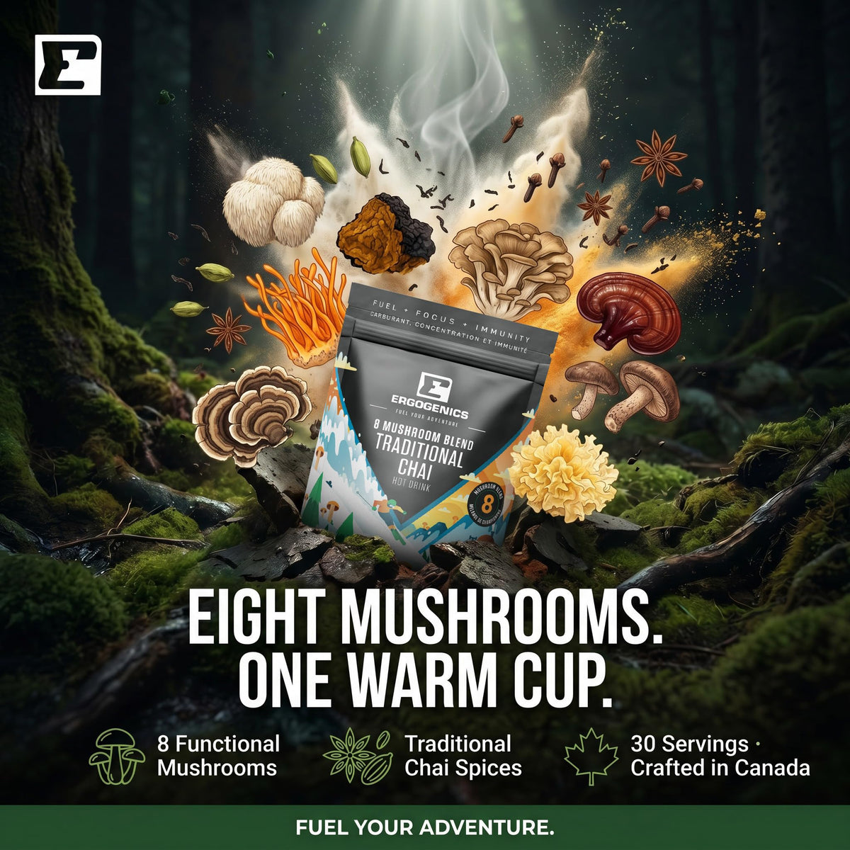 Ergogenics Nutrition 8 Mushroom Blend Powder