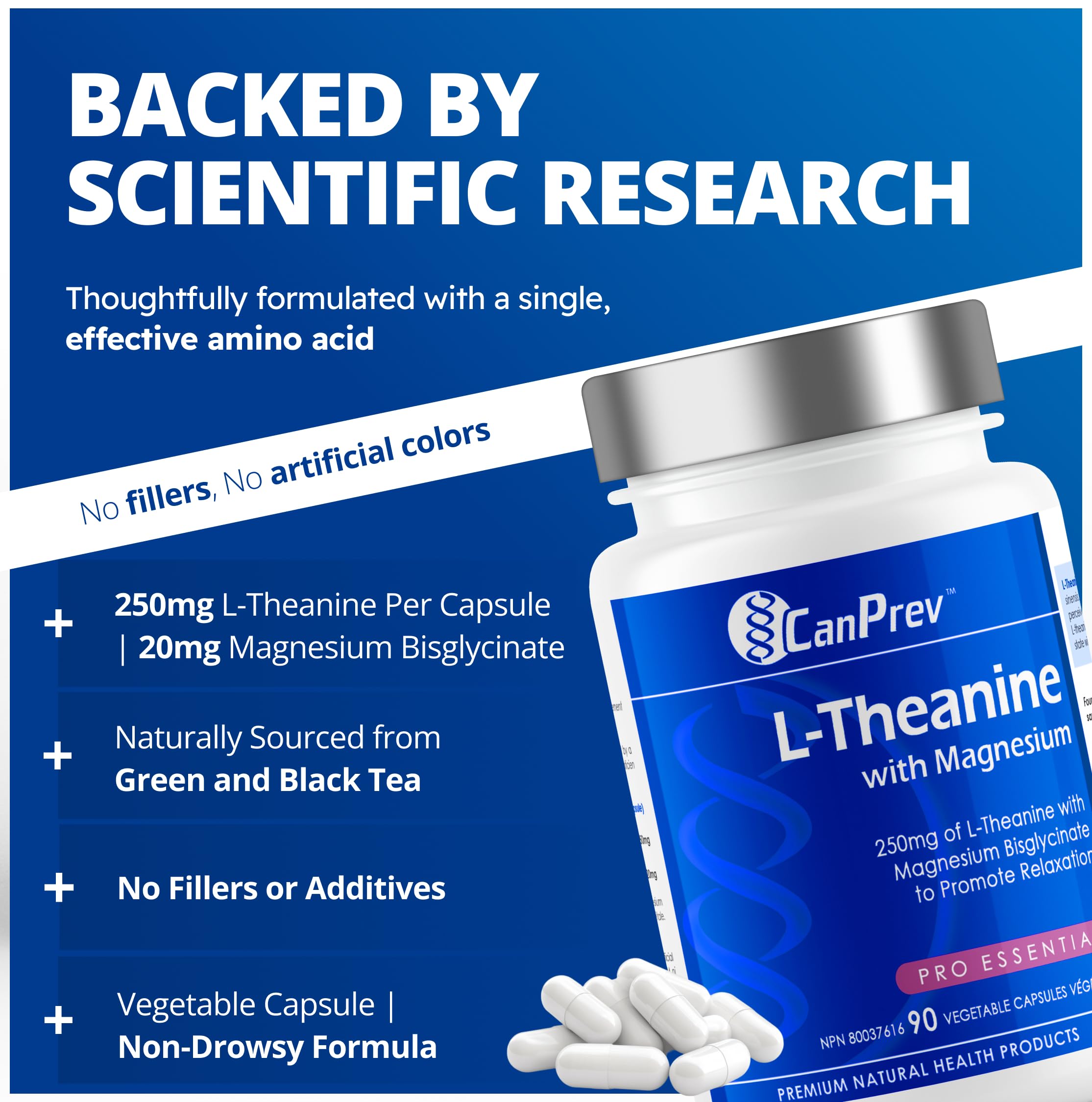 CanPrev L-Théanine et Magnésium, 90 capsules, approvisionnement de 90 jours - Favorise la relaxation et le calme - Sans somnolence - Mélange synergique pour la gestion du bien-être - Végétalien, sans OGM et sans gluten