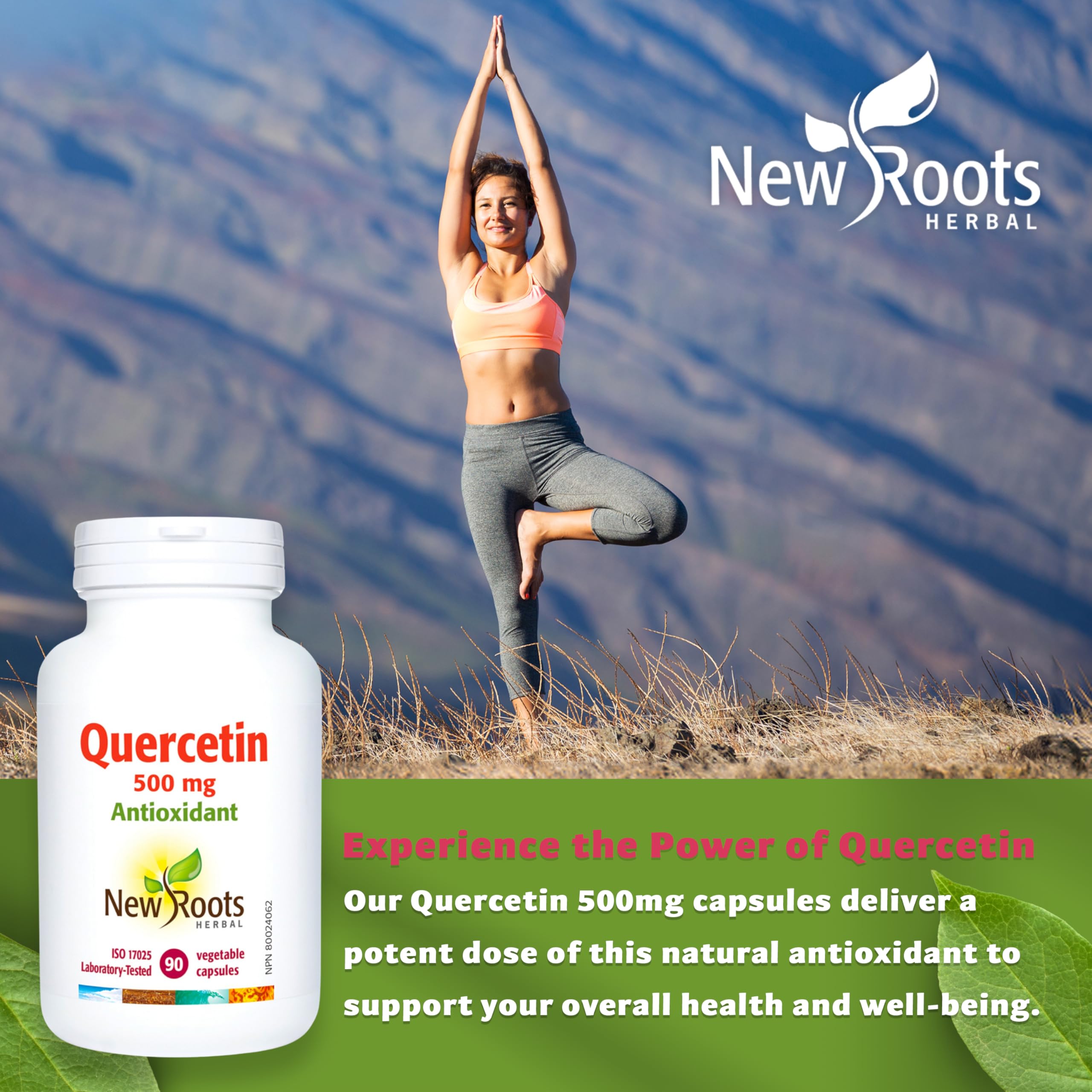 New Roots Herbal - Quercétine en capsules - Antioxydant d'origine végétale - Maintien d'une santé optimale, protection des capillaires, soutien des vaisseaux sanguins et de la circulation - Sans gluten et sans OGM