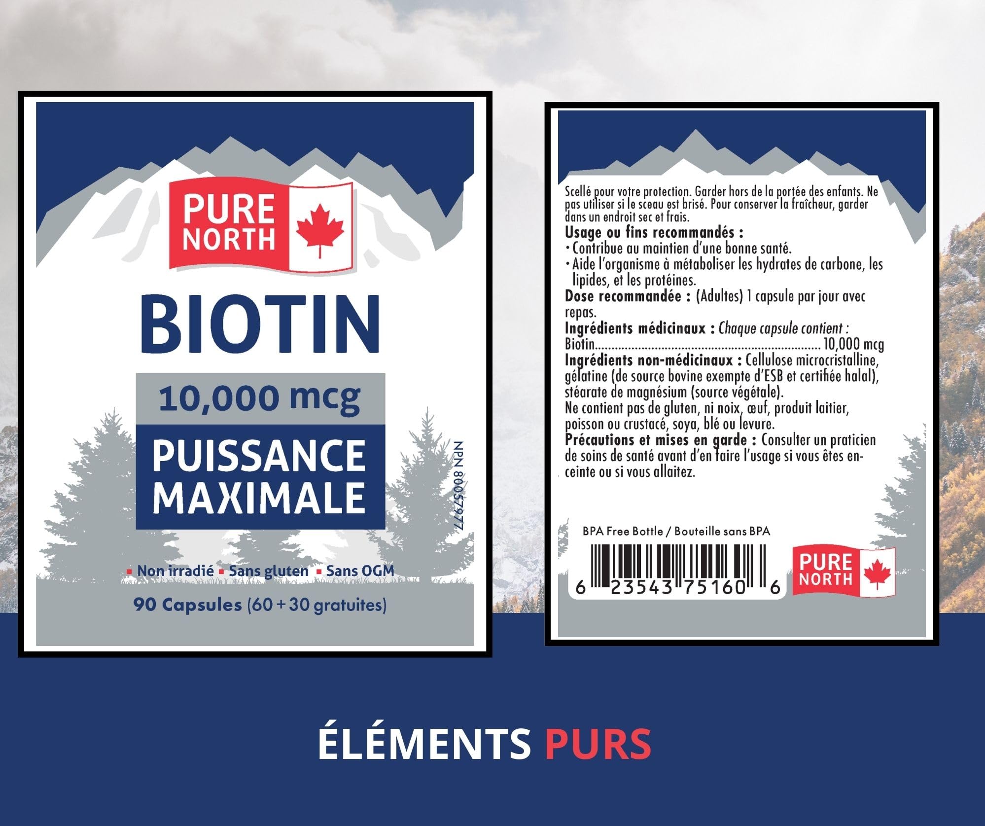 Pure North Naturals Biotin 10,000 mcg 90 Caps 90-Day Supply for Vibrant Growth & Radiance - Vegan, Non-GMO & Gluten-Free - Healthy Hair, Skin & Nails - Supports Brain Function & Cardiovascular System