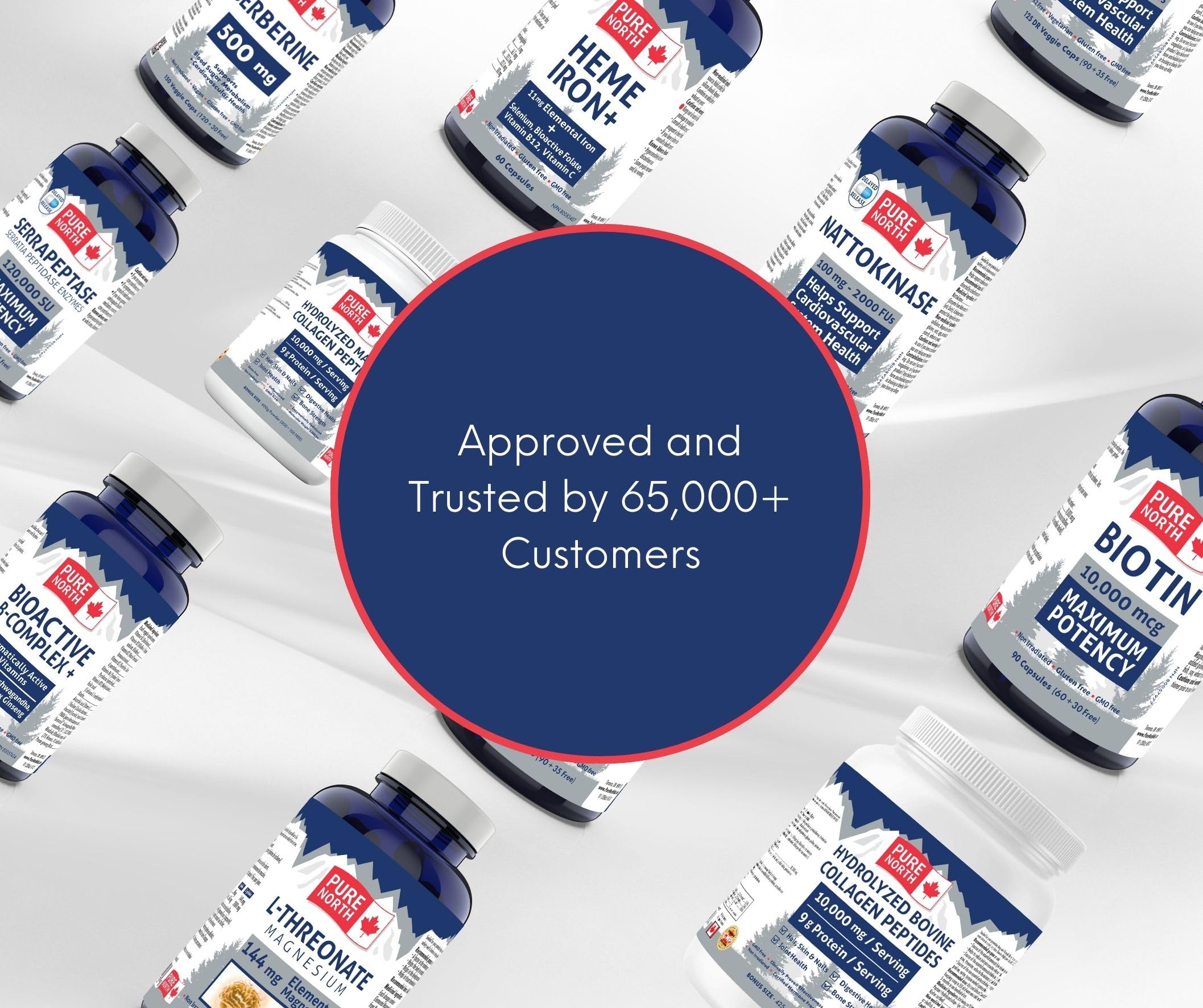 Pure North Naturals Biotin 10,000 mcg 90 Caps 90-Day Supply for Vibrant Growth & Radiance - Vegan, Non-GMO & Gluten-Free - Healthy Hair, Skin & Nails - Supports Brain Function & Cardiovascular System