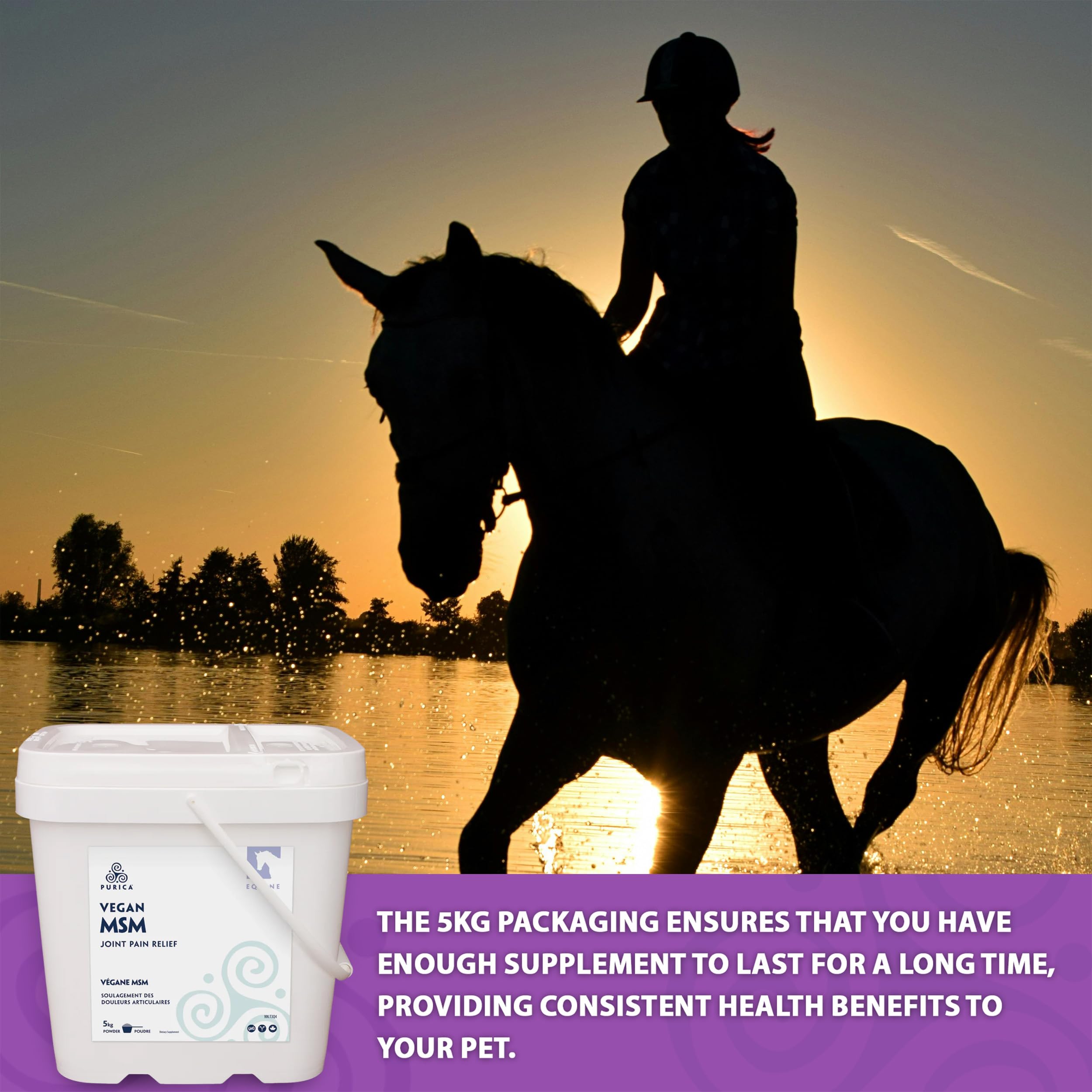 PURICA Équin MSM Végétalien en Poudre - Supplément Pur & Organique pour Chevaux pour le Soutien Articulaire, 1kg