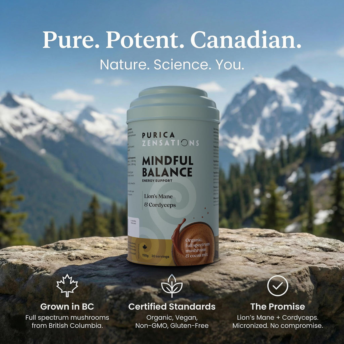 PURICA Zensations Mindful Balance Powder, Lions Mane Mushroom, 30 Servings