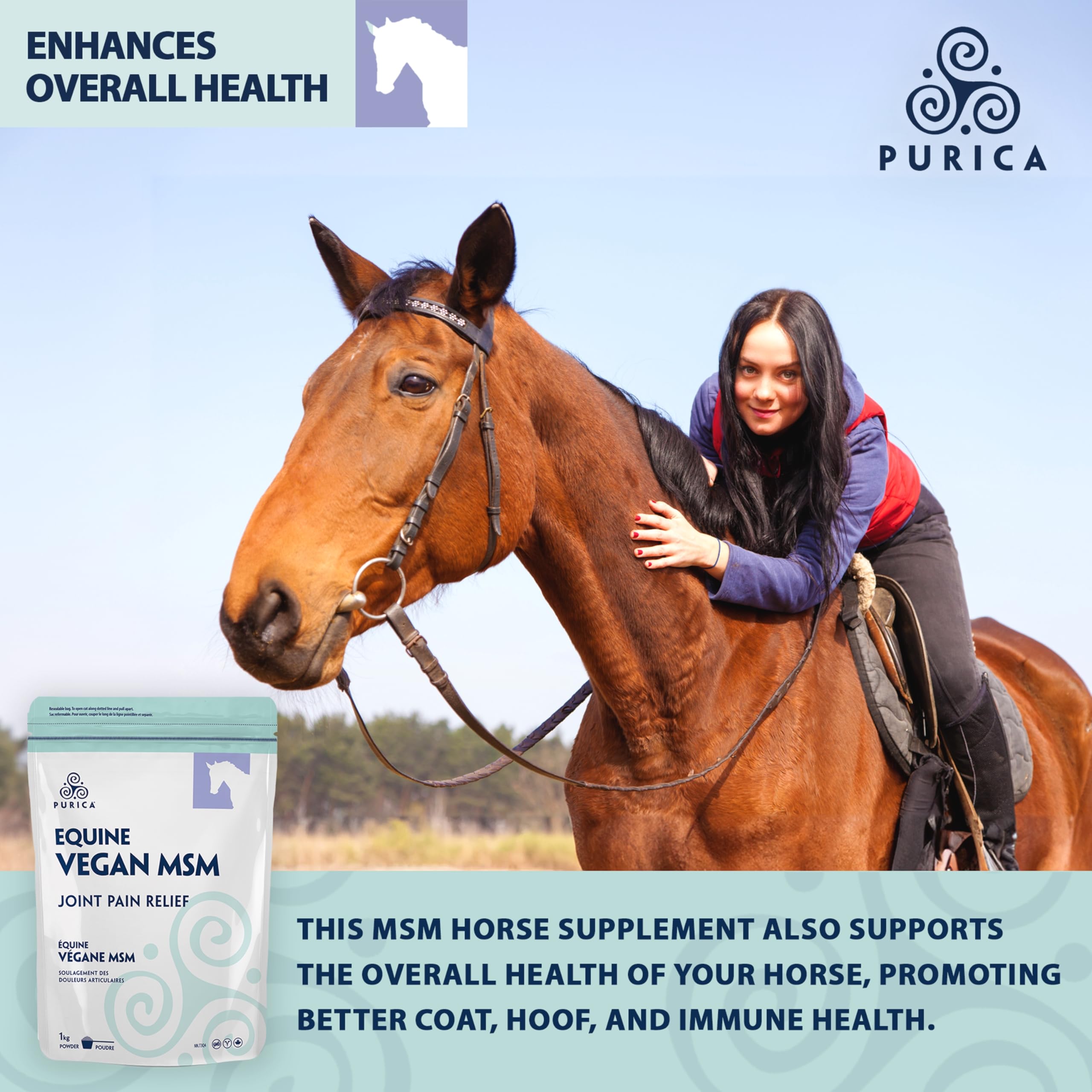 PURICA Équin MSM Végétalien en Poudre - Supplément Pur & Organique pour Chevaux pour le Soutien Articulaire, 1kg