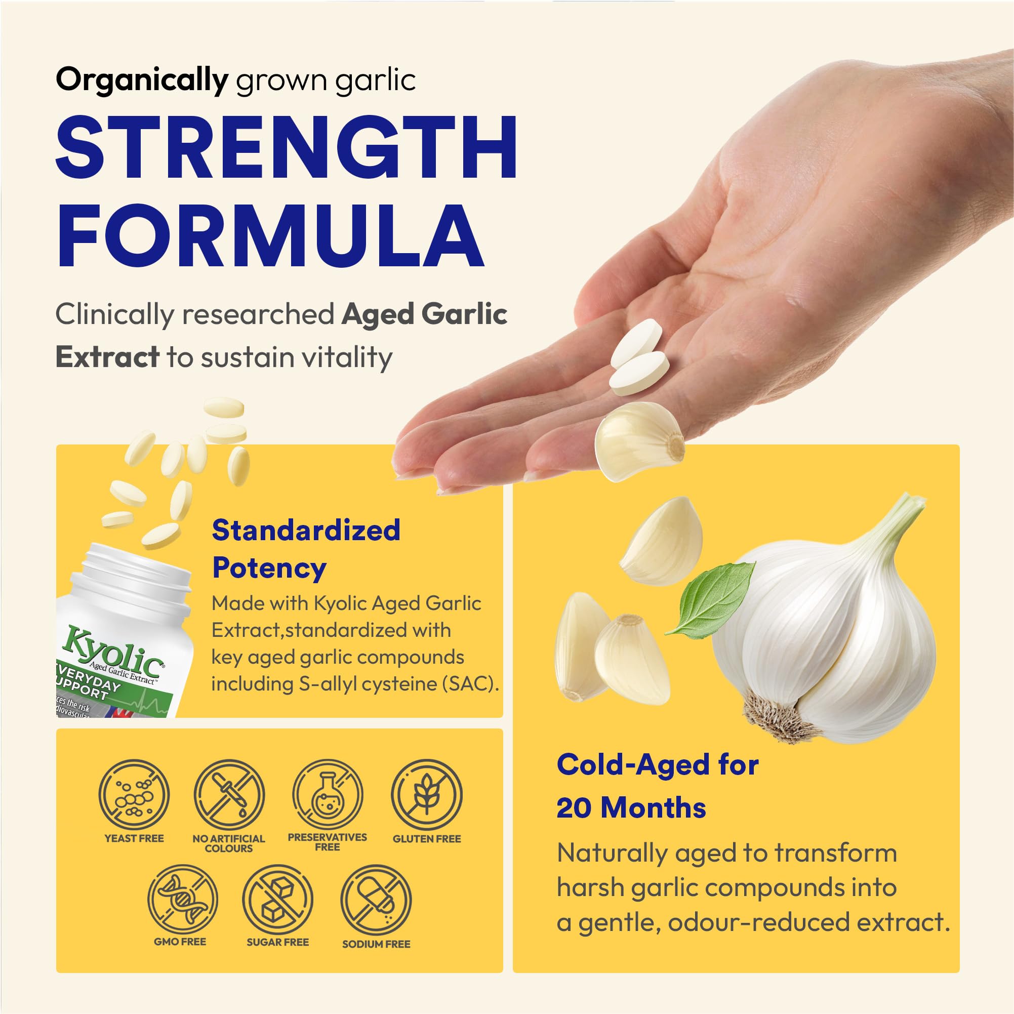 Kyolic - Formula 100 Everyday Support 300mg