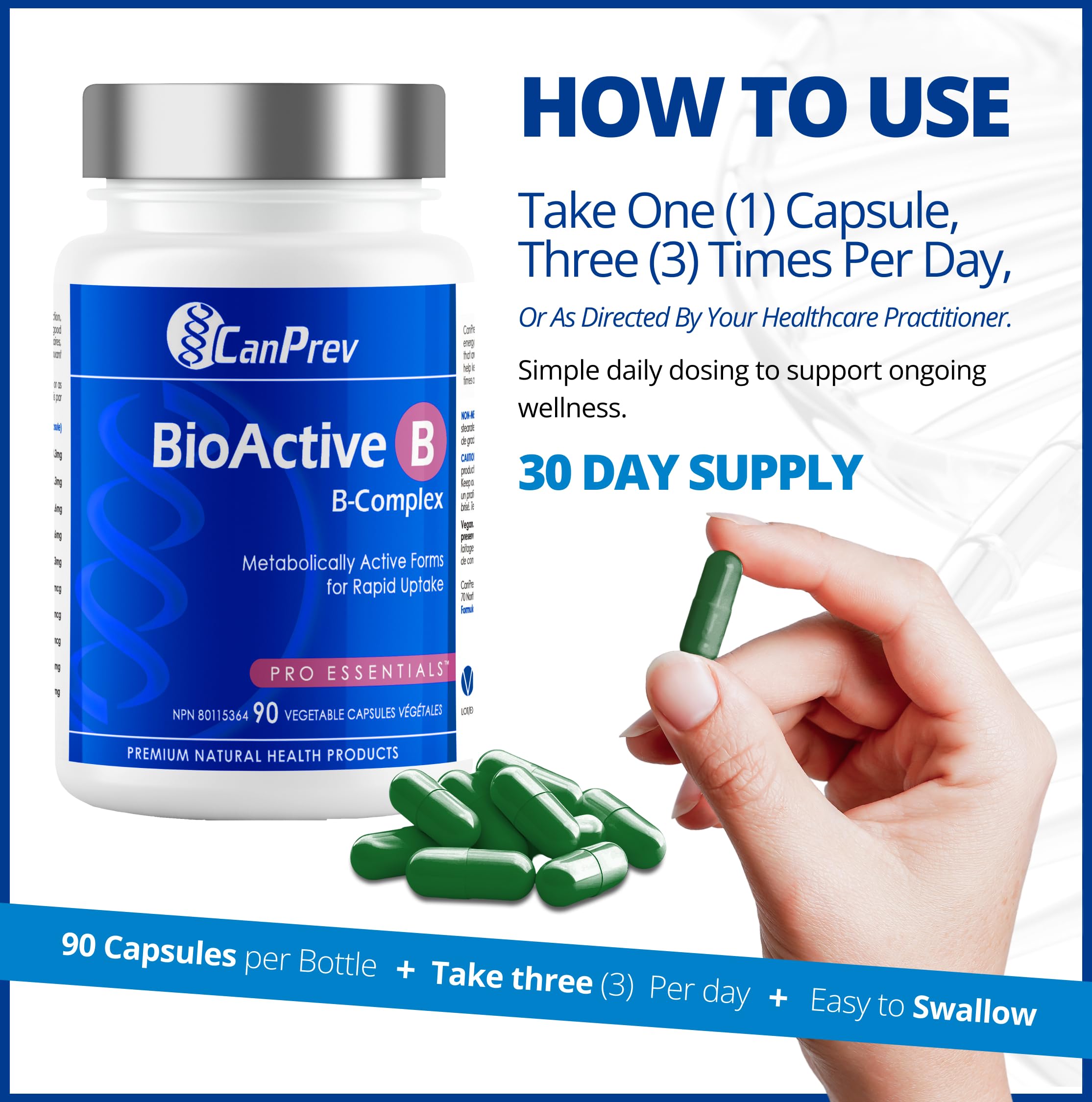 CanPrev Bioactive B