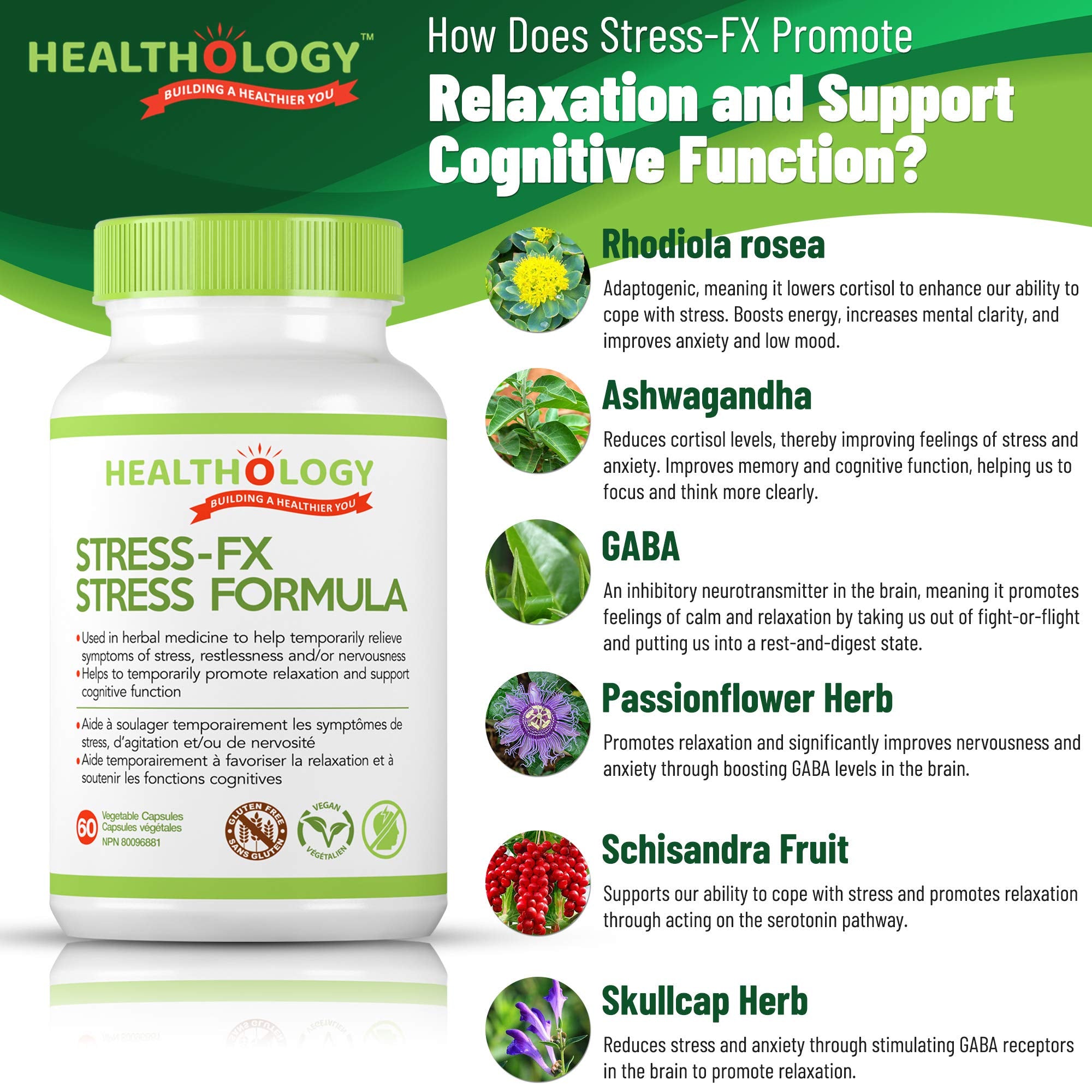 Healthology Stress-FX Stress Formula – Cortisol & Calm Support with Rhodiola, Ashwagandha & GABA – 60 Veg Capsules – Vegan, Gluten-Free, Non-GMO