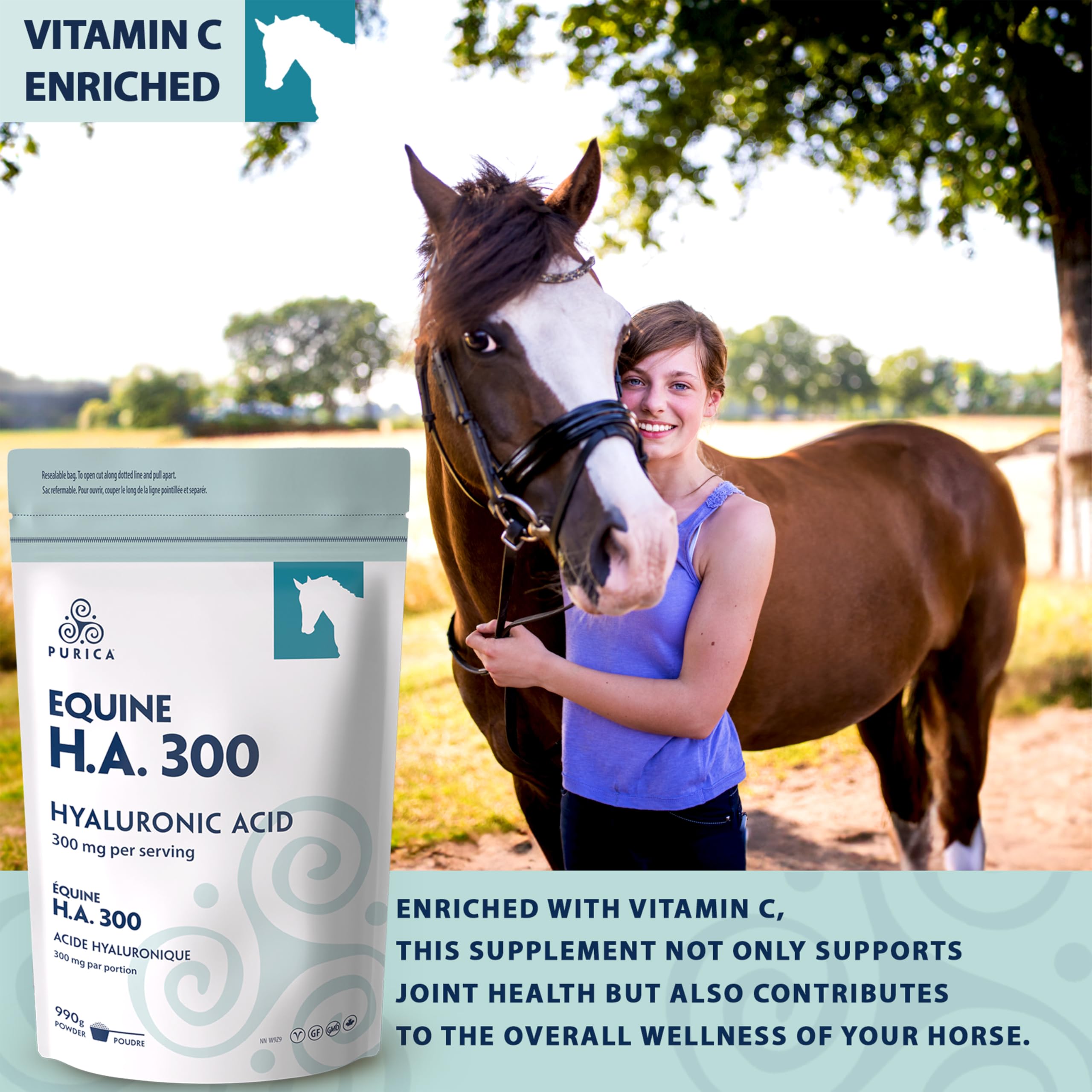 PURICA Equine HA - Horse Joint Supplement with Hyaluronic Acid and Vitamin C - Ideal for Equine Health & Recovery