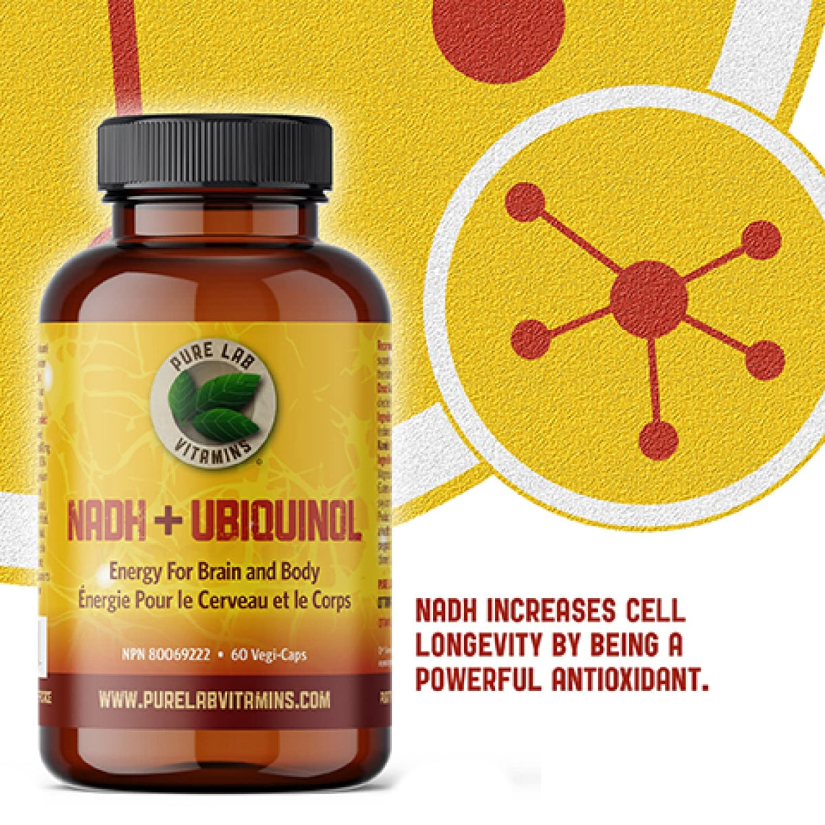 Pure Lab Vitamins | NADH Nicotinamide Adenine Dinucleotide + Coq10 Ubiquinol | 60 Capsules | Vitamin B3 Supplement | B3 Vitamin Nicotinamide Supplement | Brain Energy, Mental Clarity Supplemet