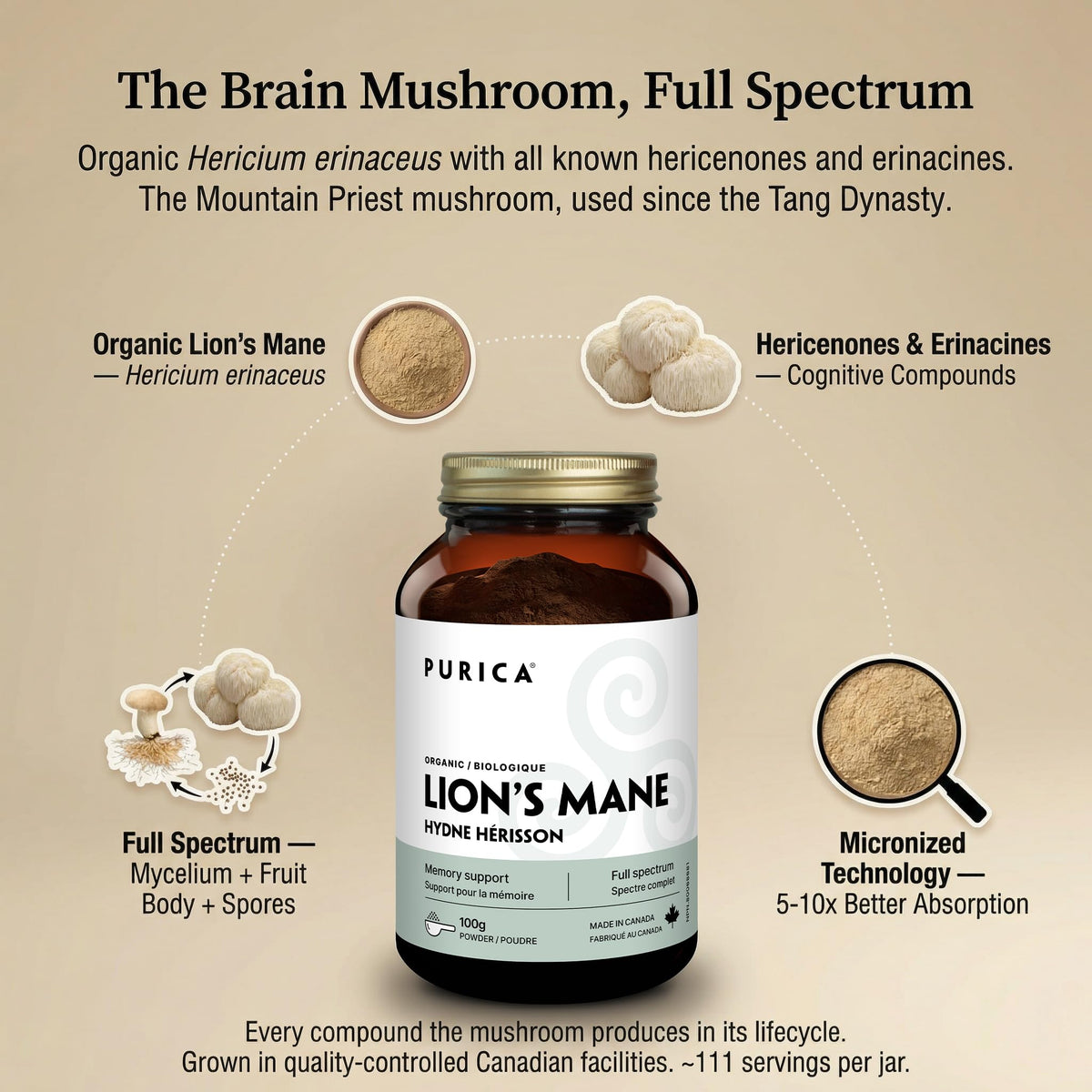PURICA Organic Lions Mane Mushroom Powder Supplement, 100 g, 111 Servings