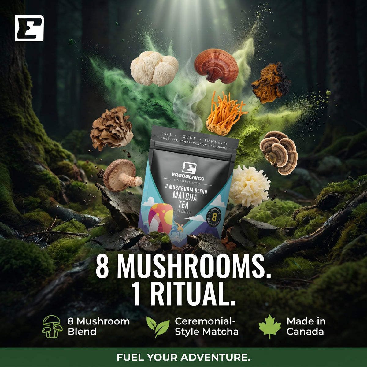 Ergogenics Nutrition 8 Mushroom Blend Powder