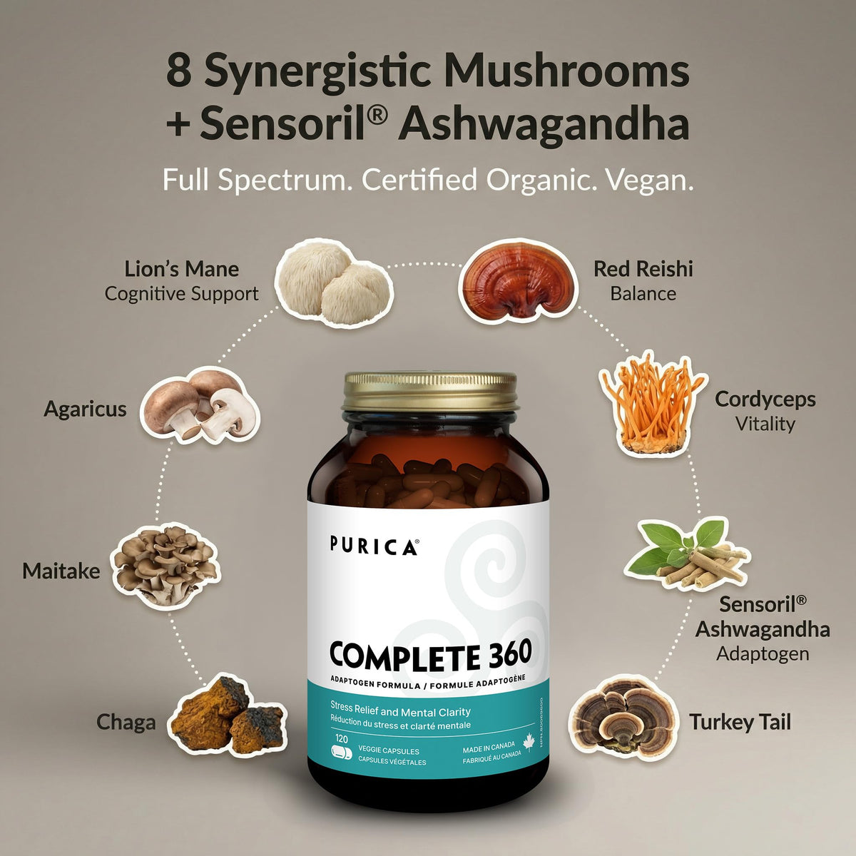 PURICA Complete 360 Lions Mane Ashwagandha Mushroom Capsules, 120 Capsules