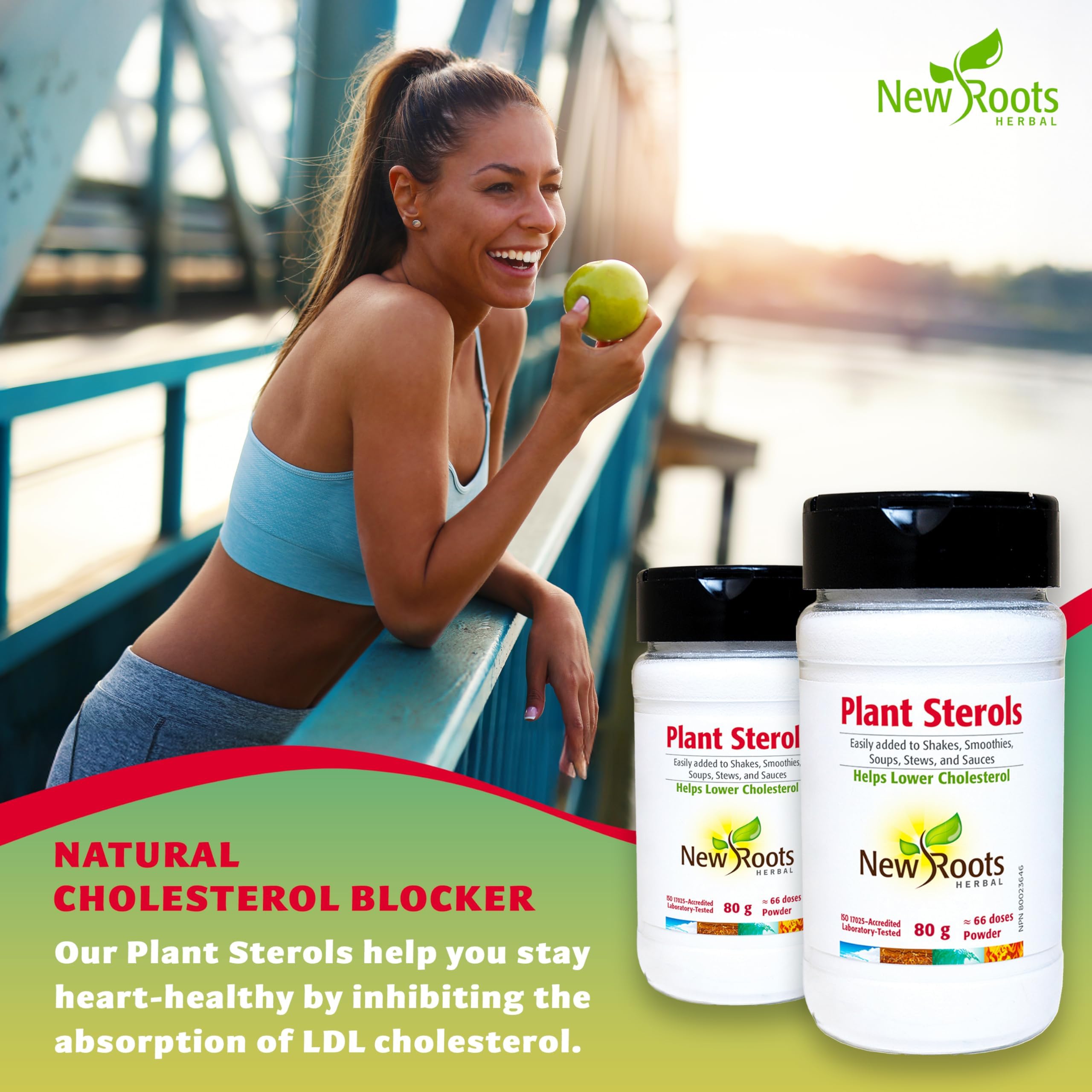 New Roots Herbal - Stérols végétaux, 80g Poudre 66 portions - Supplément pour Shakes, Smoothies, Soupes, Ragoûts, Sauces pour pâtes, Cuisine - Comprend du bêta-sitostérol et des stanols - Soutient les objectifs nutritionnels