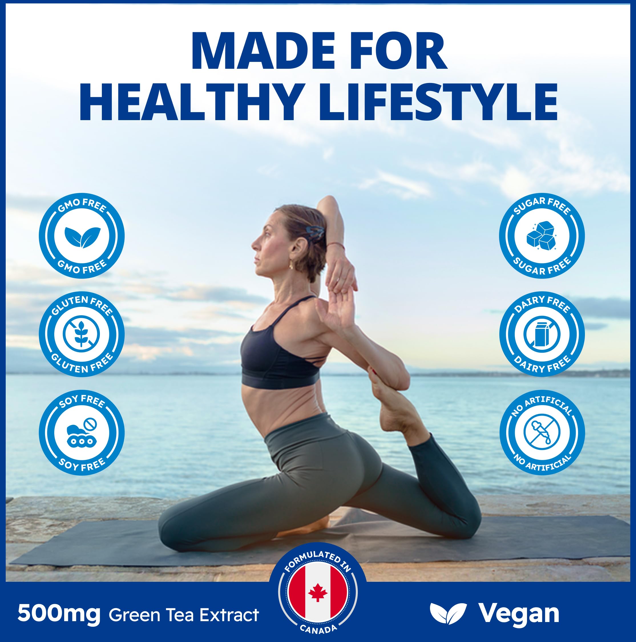 CanPrev Thé vert 120 capsules végétales Approvisionnement de 4 mois, extrait de thé vert 500 mg avec EGCG, favorise le métabolisme, la santé cardiovasculaire, la fonction cognitive et le bien-être digestif, végétalien sans OGM, formule antioxydante