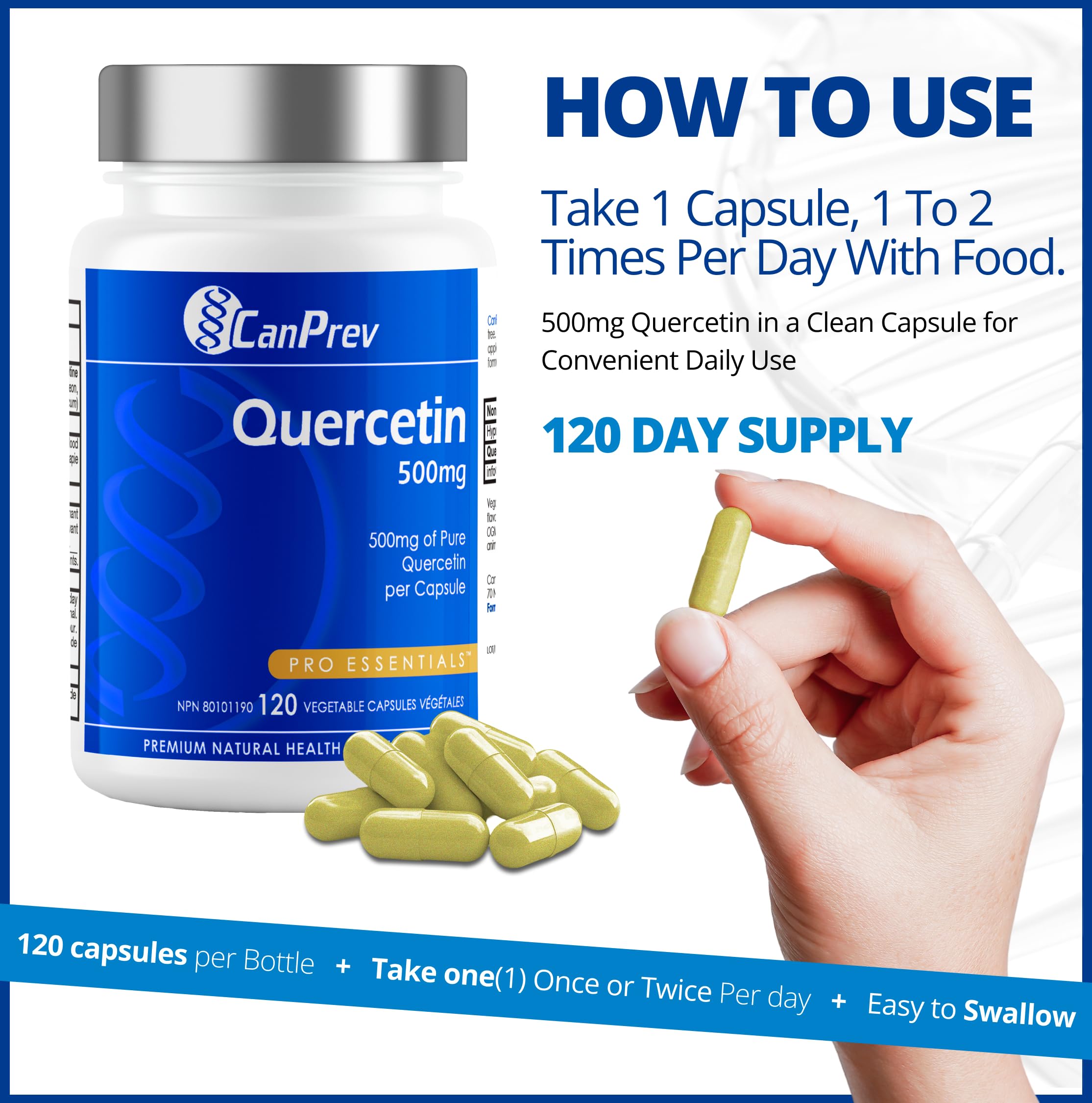 CanPrev Quercétine, 120 gélules végétales – 120 jours d'approvisionnement – Végétalien et sans OGM – 500 mg de quercétine pure – Favorise une circulation saine et le confort pendant les changements de saison – Riche en propriétés antioxydantes