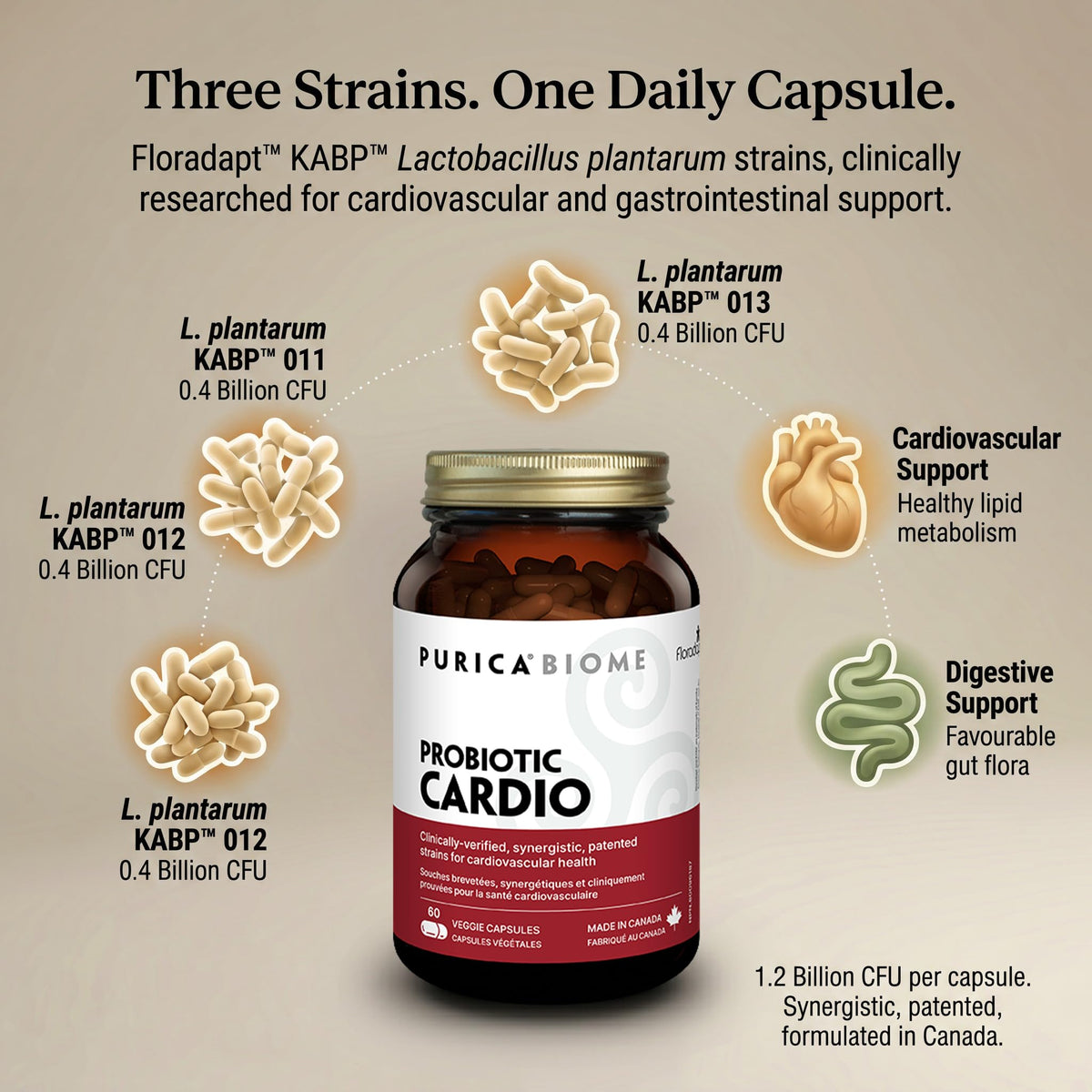 PURICA Floradapt Cardio Probiotic, Heart & Digestive Support, 60 Day Supply
