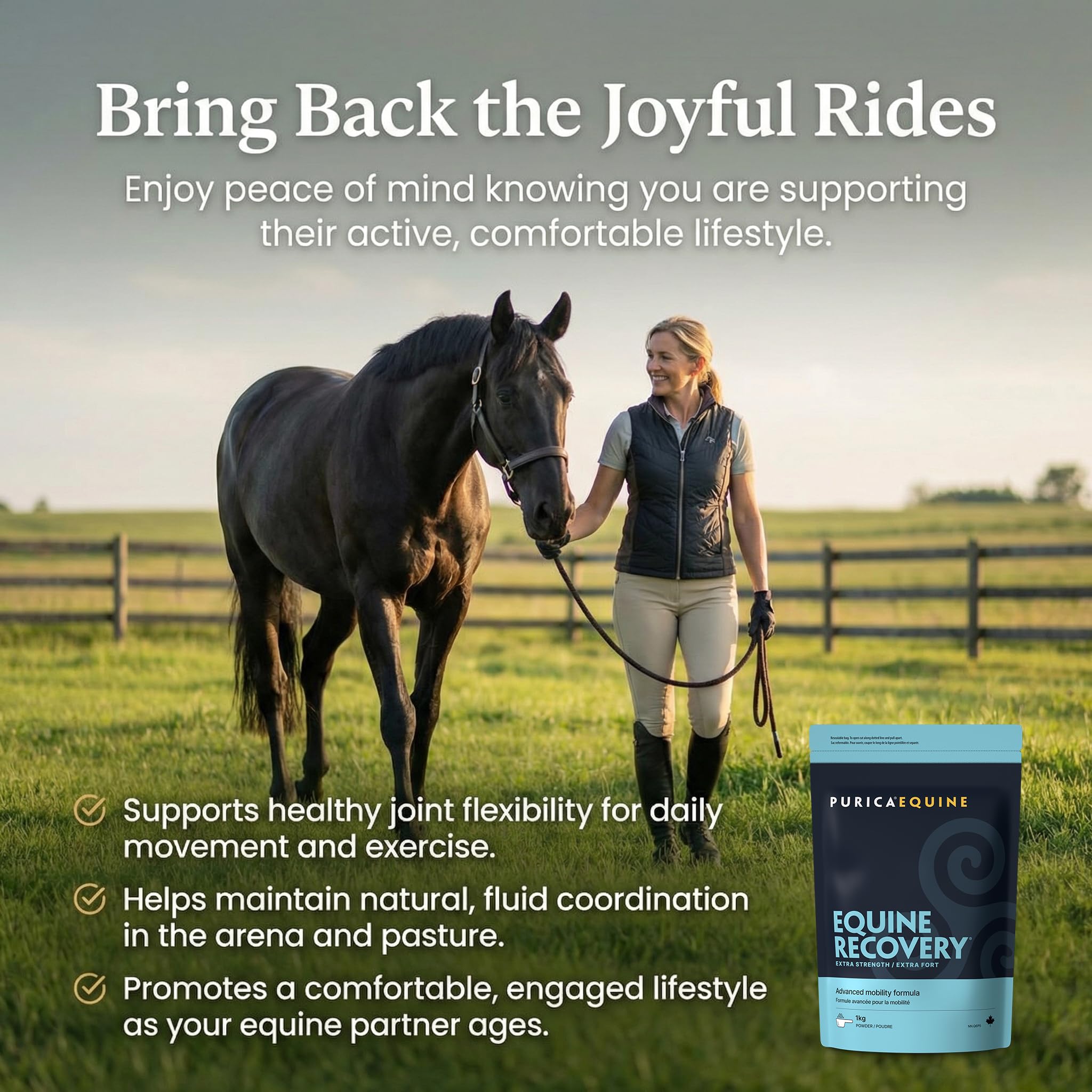 PURICA Equine Recovery