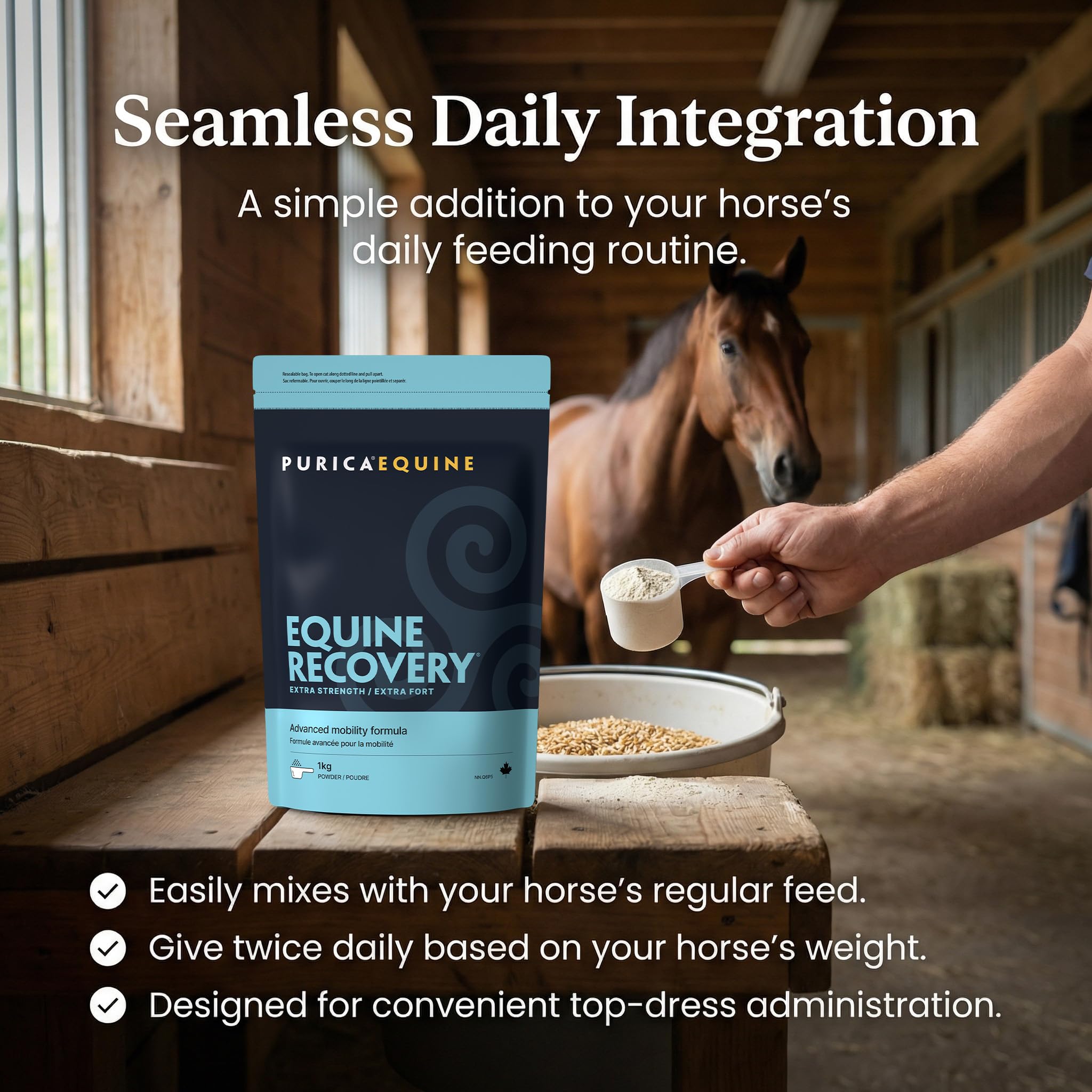 PURICA Equine Recovery