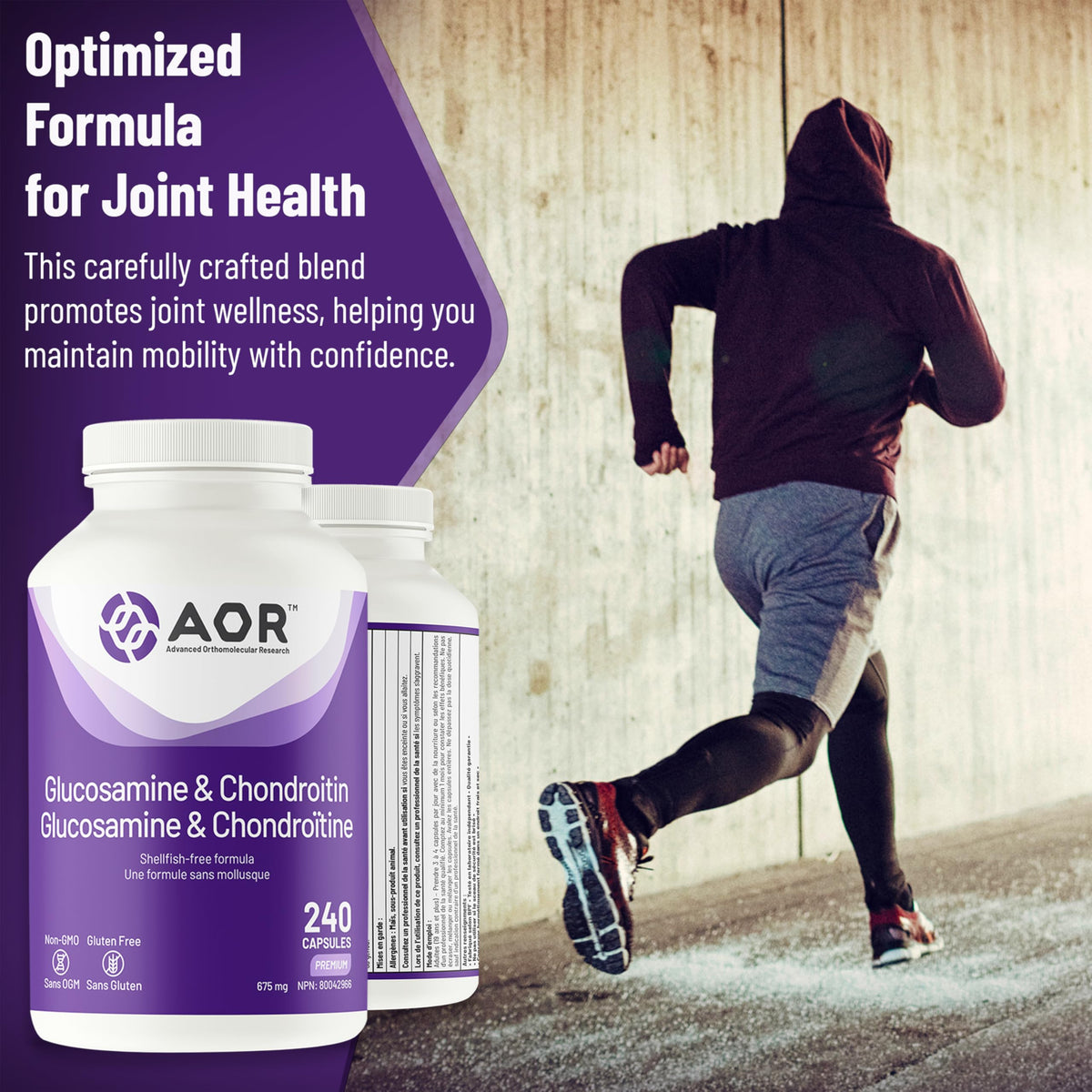 AOR Glucosamine Chondroitin 240 Capsules, Shellfish Free, 80-Day Supply