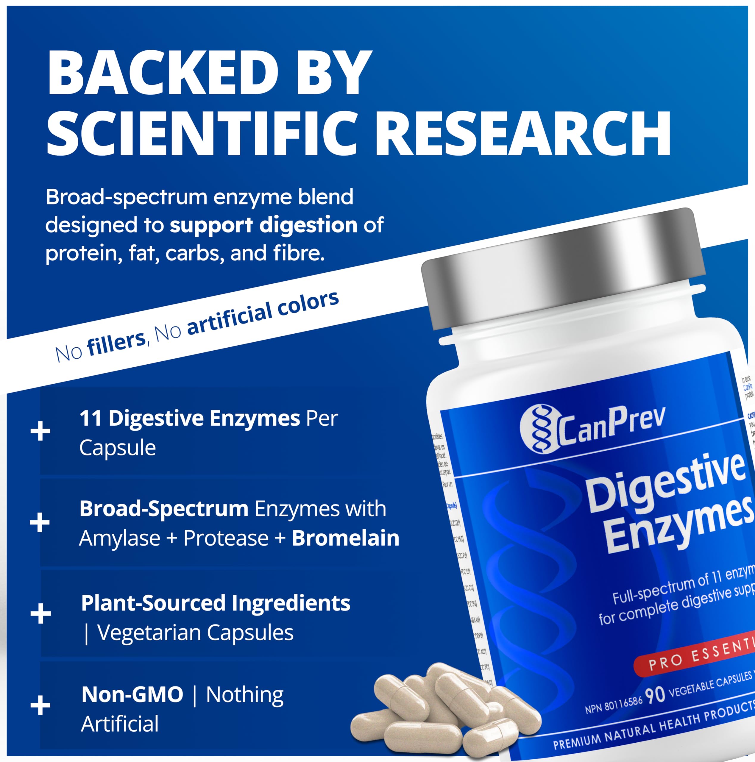 CanPrev - Complément d'enzymes digestives, 90 capsules (approvisionnement de 30 jours) - Spectre complet de 11 enzymes digestives pour les gaz intestinaux, la digestion, l'indigestion et le soulagement des ballonnements - Aide à décomposer les protéines