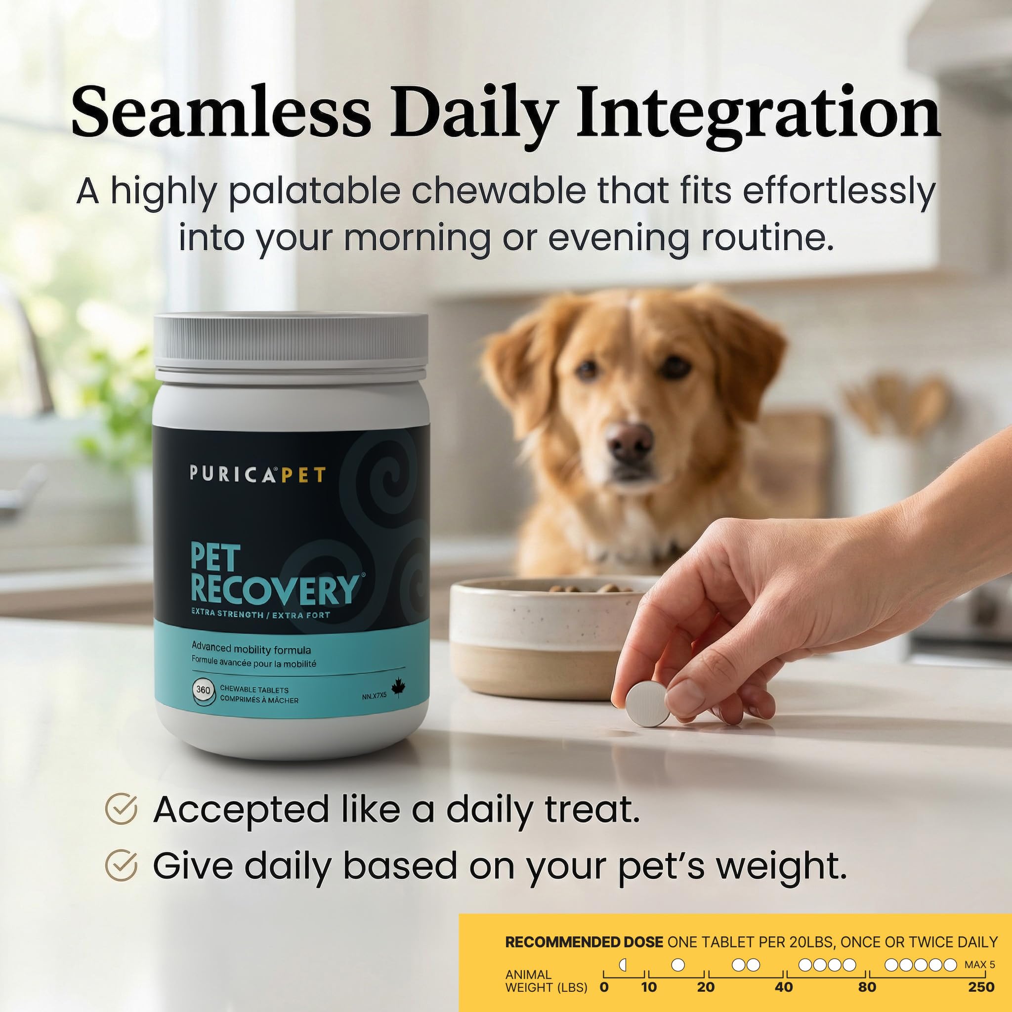 PURICA Pet Recovery
