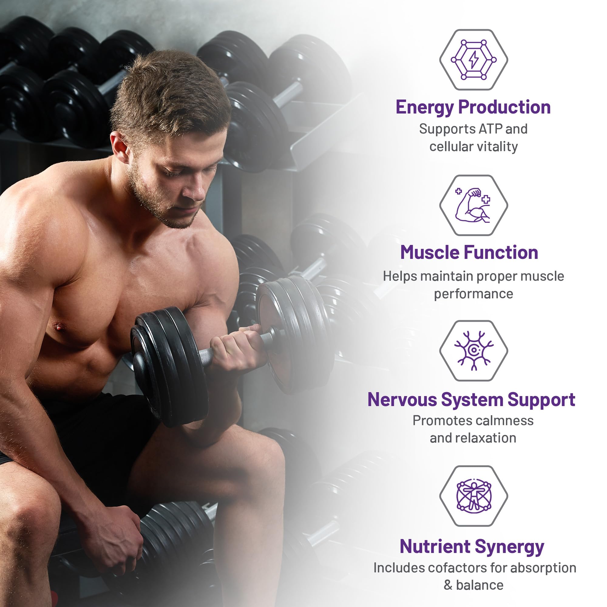 AOR Magnésium Synergy Poudre 208g 30 portions - Supplément de Magnésium Végétalien pour Hommes et Femmes - Soutient la Santé des Os, un Sommeil Réparateur et la Relaxation Musculaire - Facile à mélanger, Goût Citron sans Sucre, sans Gluten