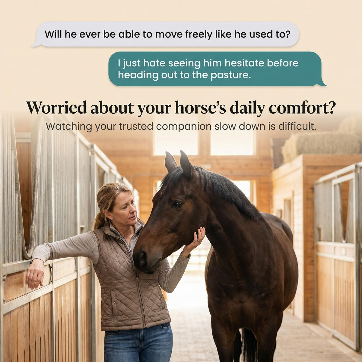PURICA Equine HA 300,Hyaluronic Acid Powder for Horses,990g,88-Day Supply