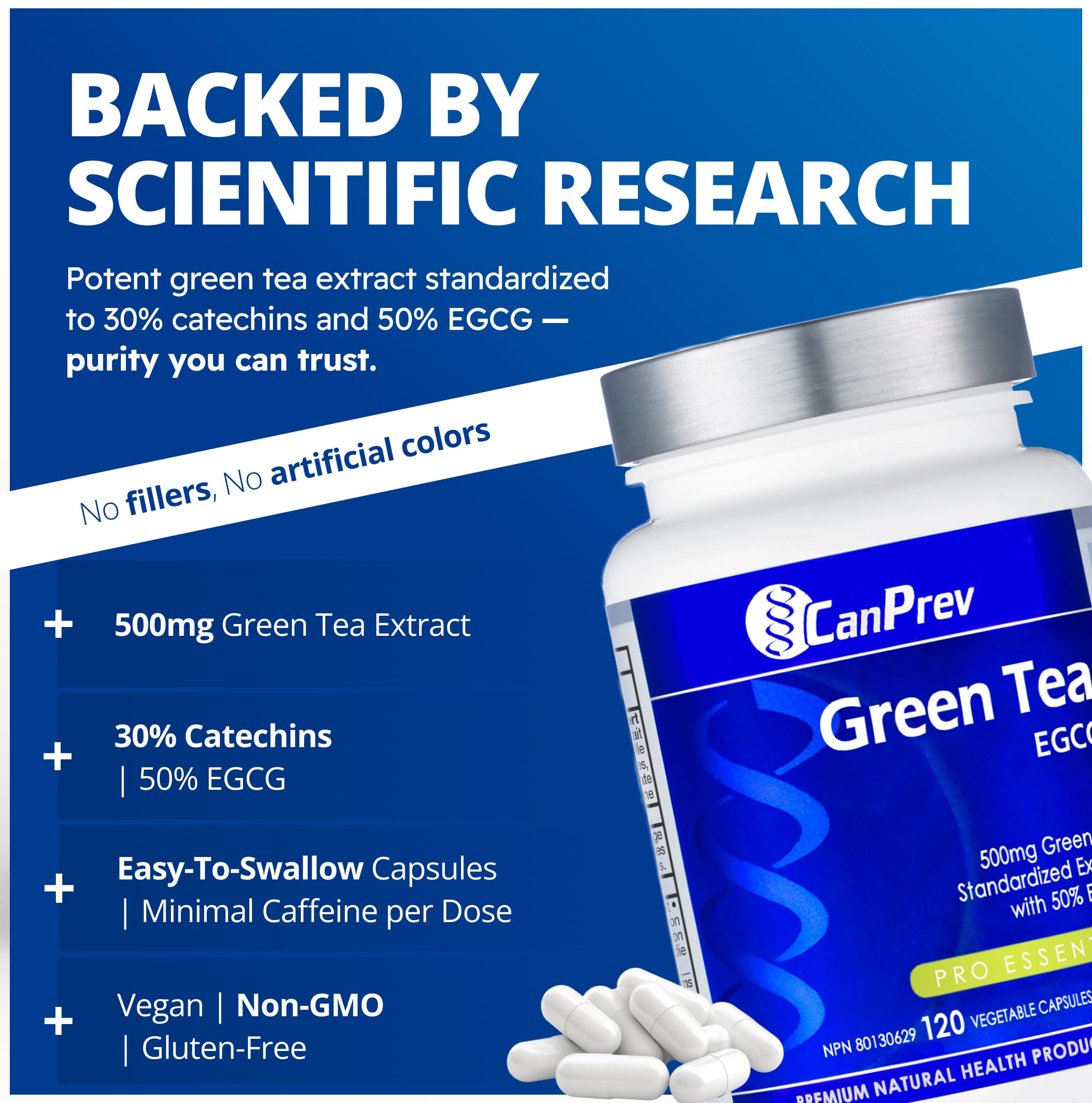 CanPrev Thé vert 120 capsules végétales Approvisionnement de 4 mois, extrait de thé vert 500 mg avec EGCG, favorise le métabolisme, la santé cardiovasculaire, la fonction cognitive et le bien-être digestif, végétalien sans OGM, formule antioxydante
