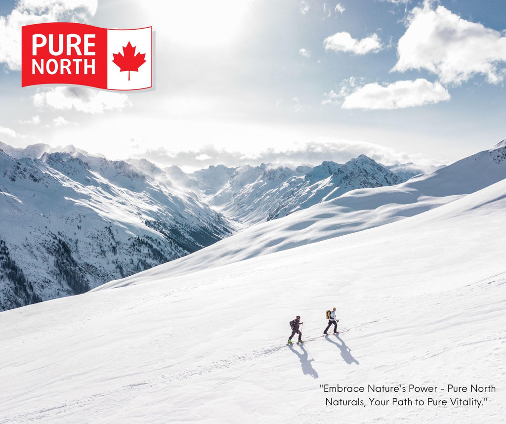 Pure North Naturals - L-Glutamine 5000mg, 250g Powder 50-Servings - Gut Health and Digestive Health - Support Muscle Repair & Support Immune System - 3rd Party Tested - Formulated & Made in Canada