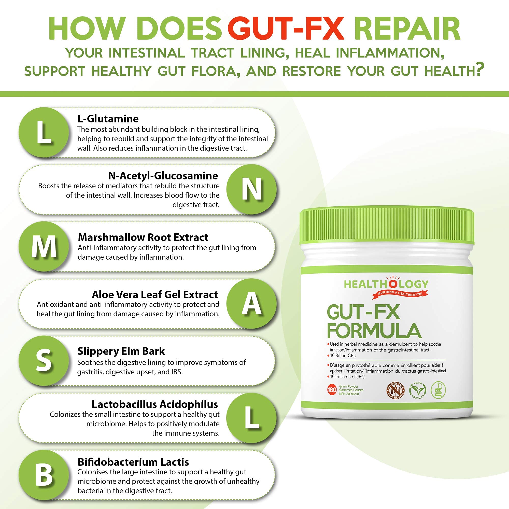 Healthology Gut-FX Formula – Gut Lining Repair & Digestive Support – Helps IBS, Leaky Gut & Bloating – 180 g Powder – Non-GMO, Gluten-Free