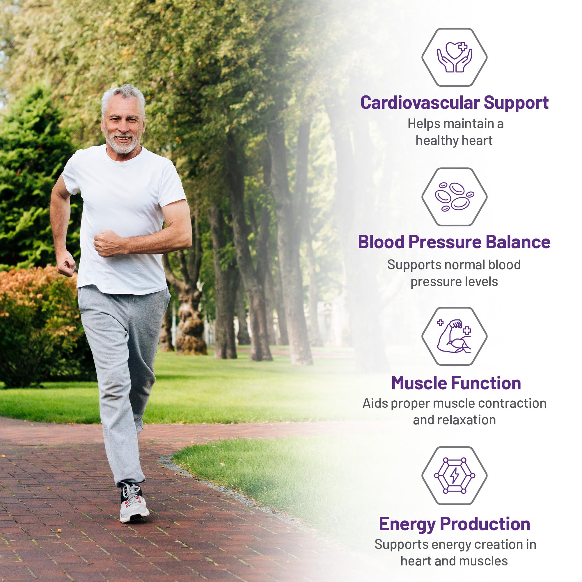 AOR Cardio Mag 2.0 Orotate de Magnésium 770mg, 120 Gélules Pour 30 Jours - Soutien Cardiovasculaire, Fonction Cardiaque, Production d'Énergie & Récupération, Magnésium pour Individus Actifs Favorisant le Bien-être Vital