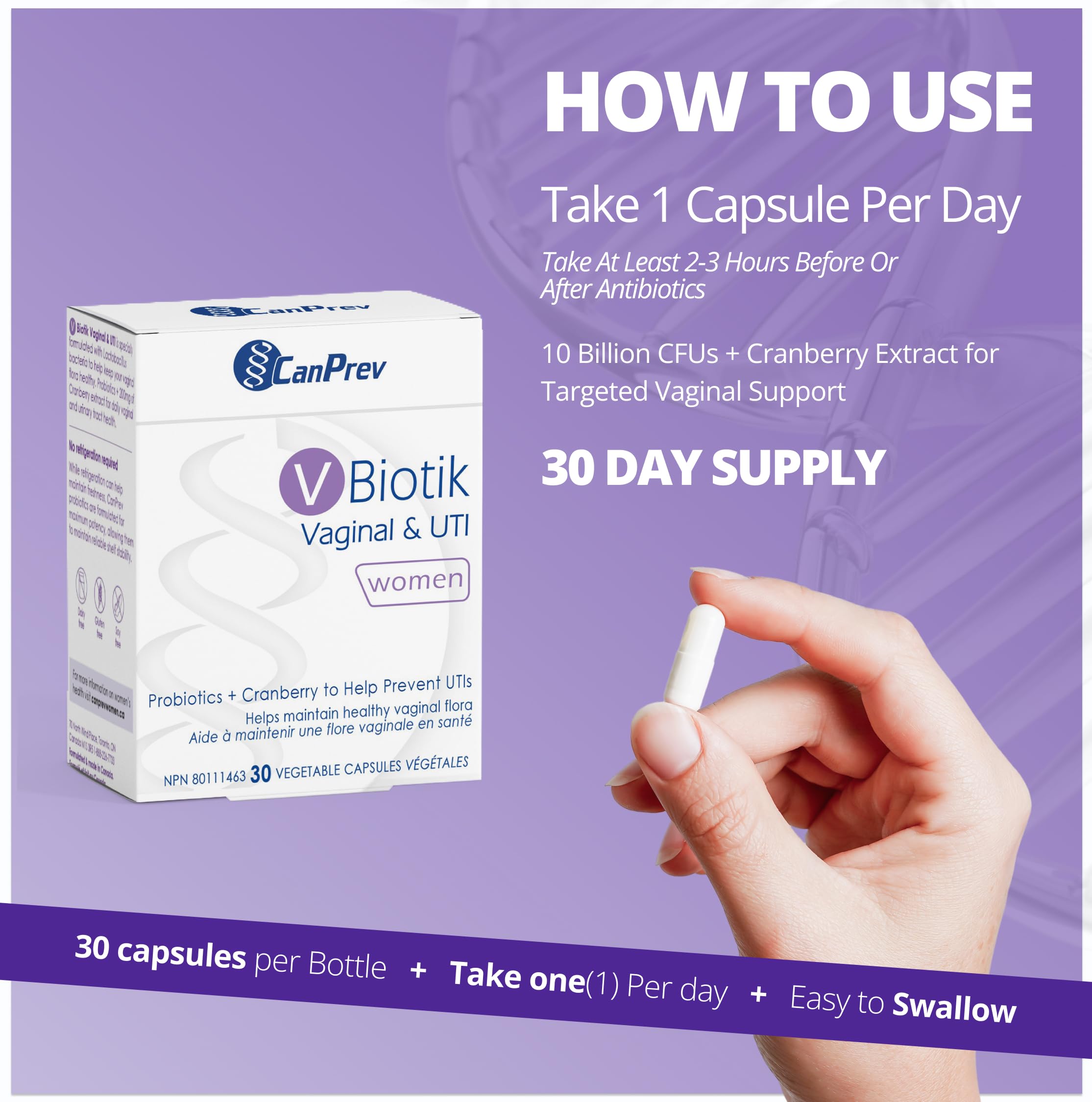 CanPrev V-Biotik Supplément Probiotique pour Femmes, 30 Capsules, 30 Jours d'Approvisionnement avec Extrait de Canneberge et Lactobacillus, 10 Milliards d'UFC, Probiotiques pour les Soins Digestifs - Soutien Naturel pour le Bien-être Quotidien des Femmes
