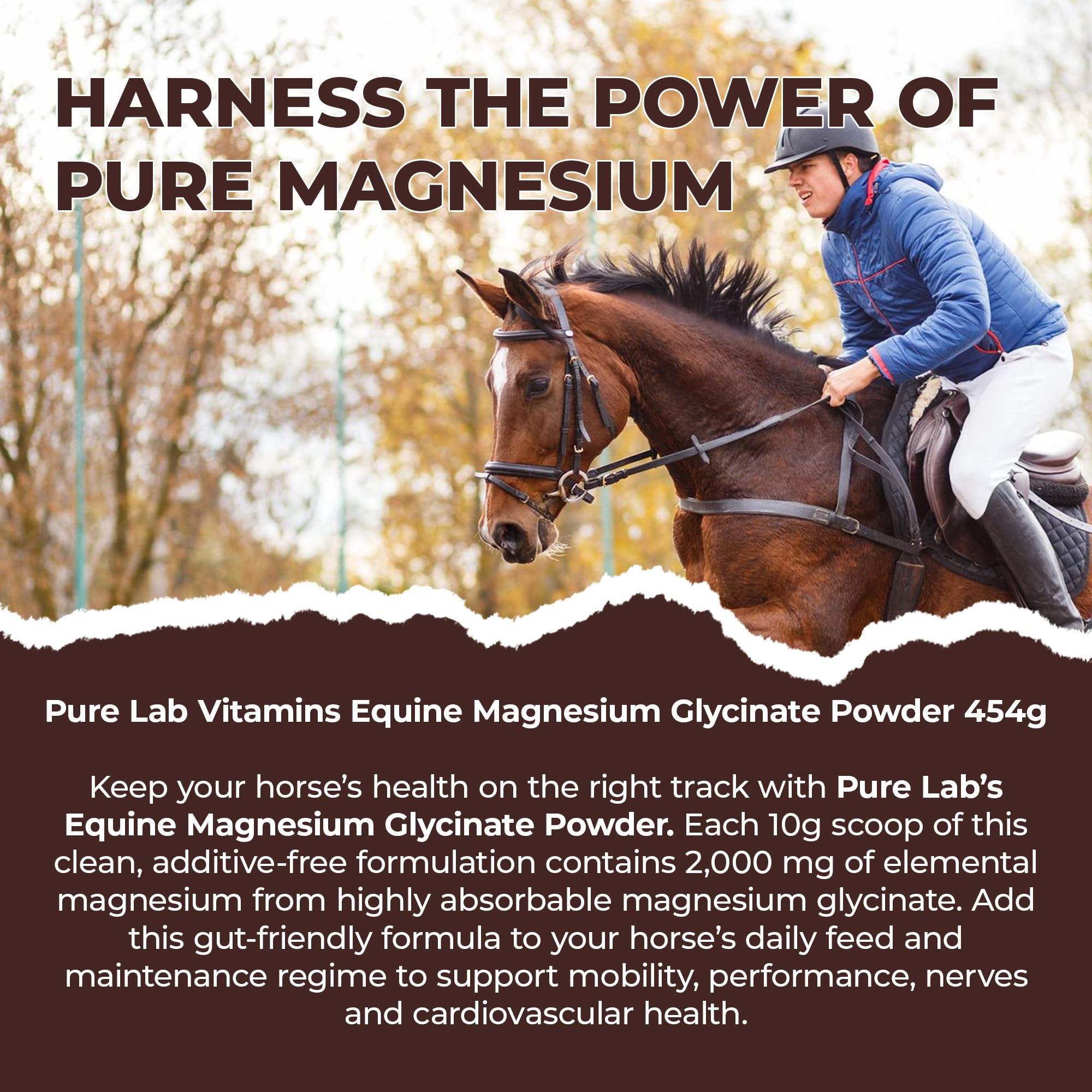 Pure Lab Vitamins Magnésium glycinate équin en poudre – 454 g