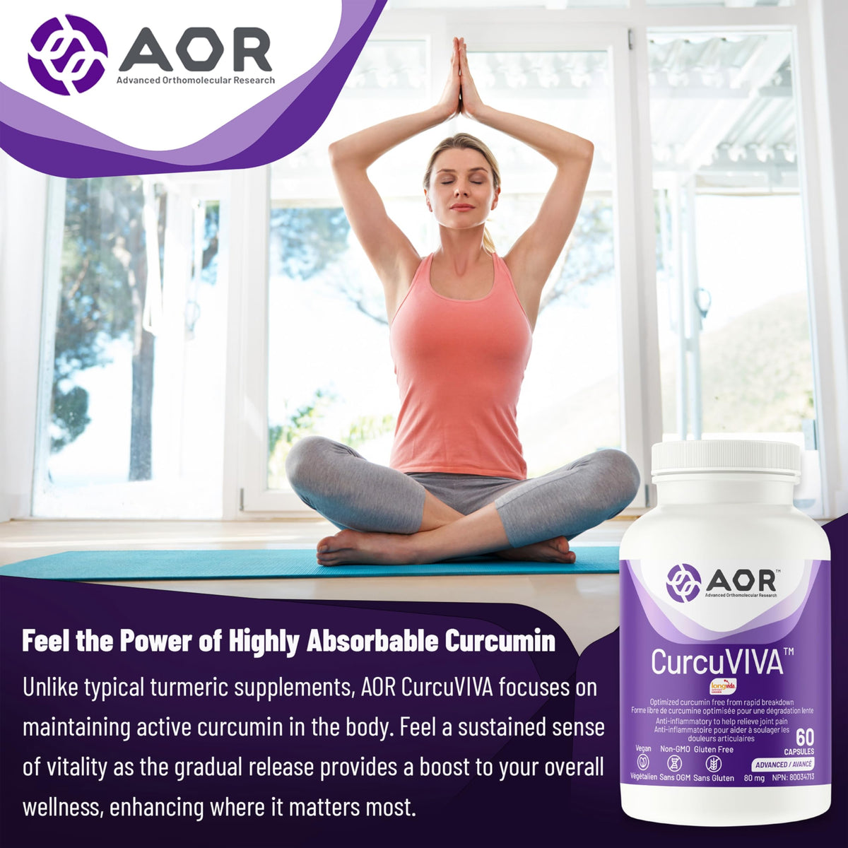 AOR CurcuVIVA Turmeric Curcumin Capsules, 80 mg, Gluten Free, 60 Day Supply