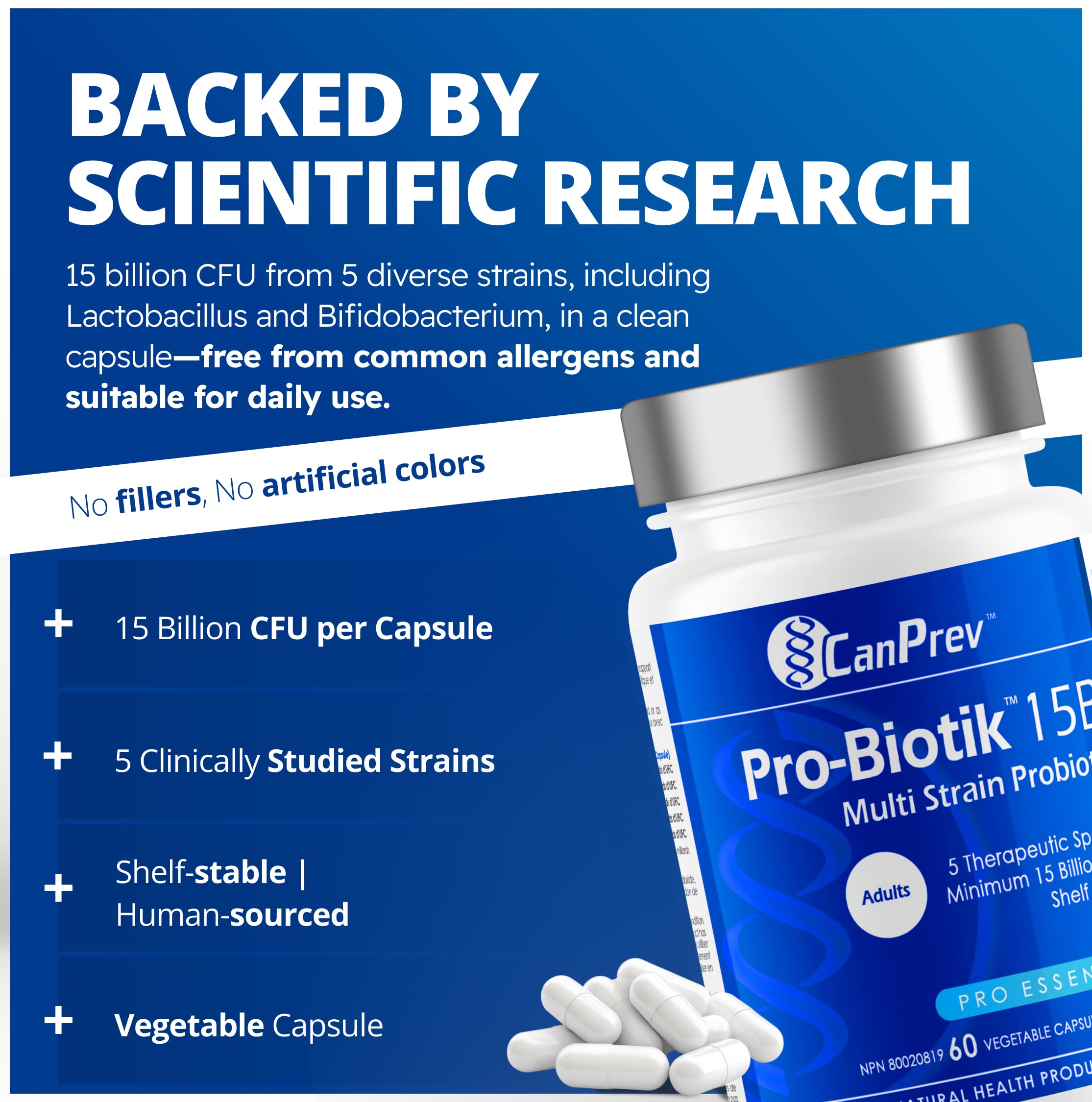 CanPrev Pro-Biotik 15 milliards UFC, 60 végicaps, 60 jours d'approvisionnement - Sans OGM et sans gluten - Formule avancée pour la santé intestinale avec 5 souches probiotiques - Favorise l'équilibre digestif et soulage les ballonnements