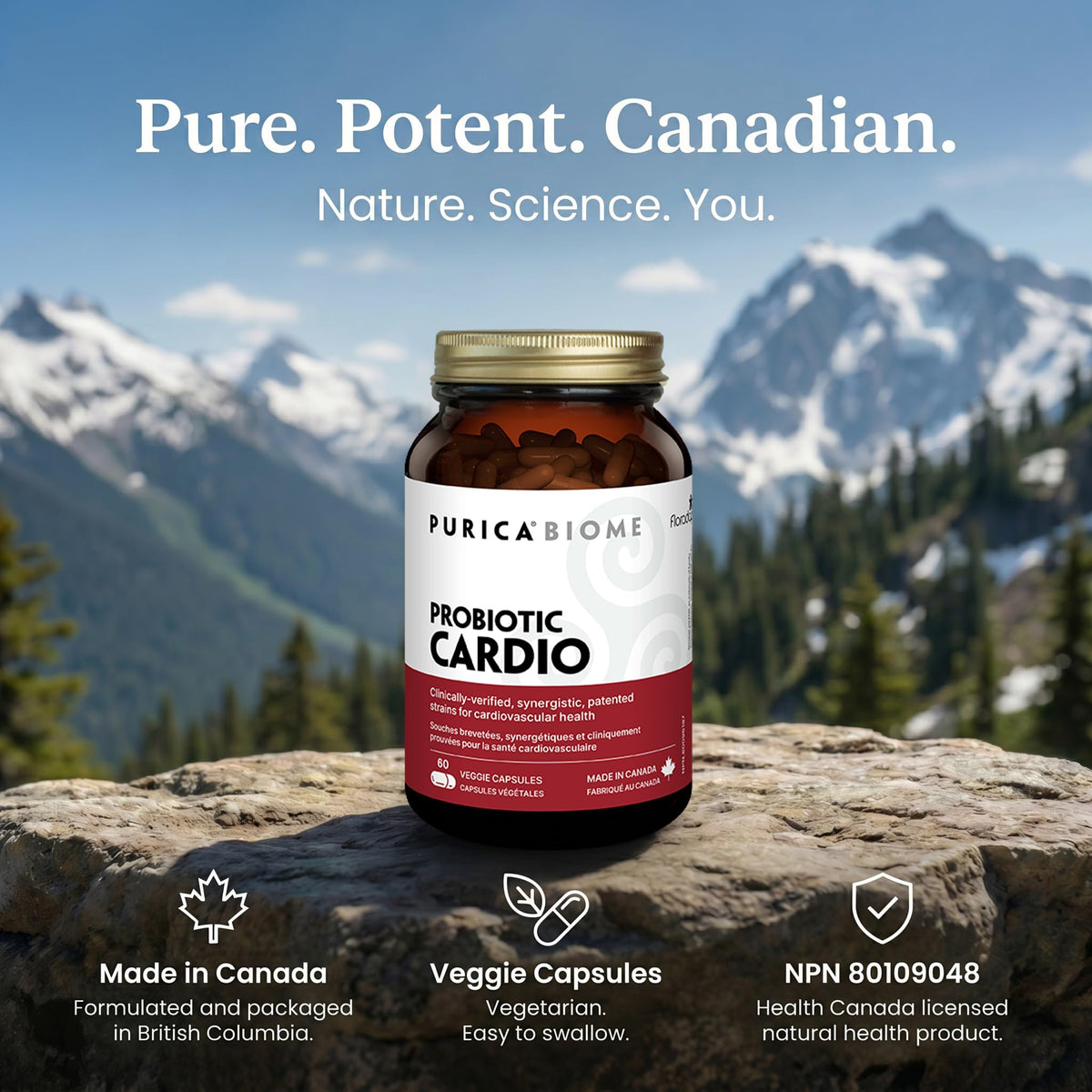 PURICA Floradapt Cardio Probiotic, Heart & Digestive Support, 60 Day Supply