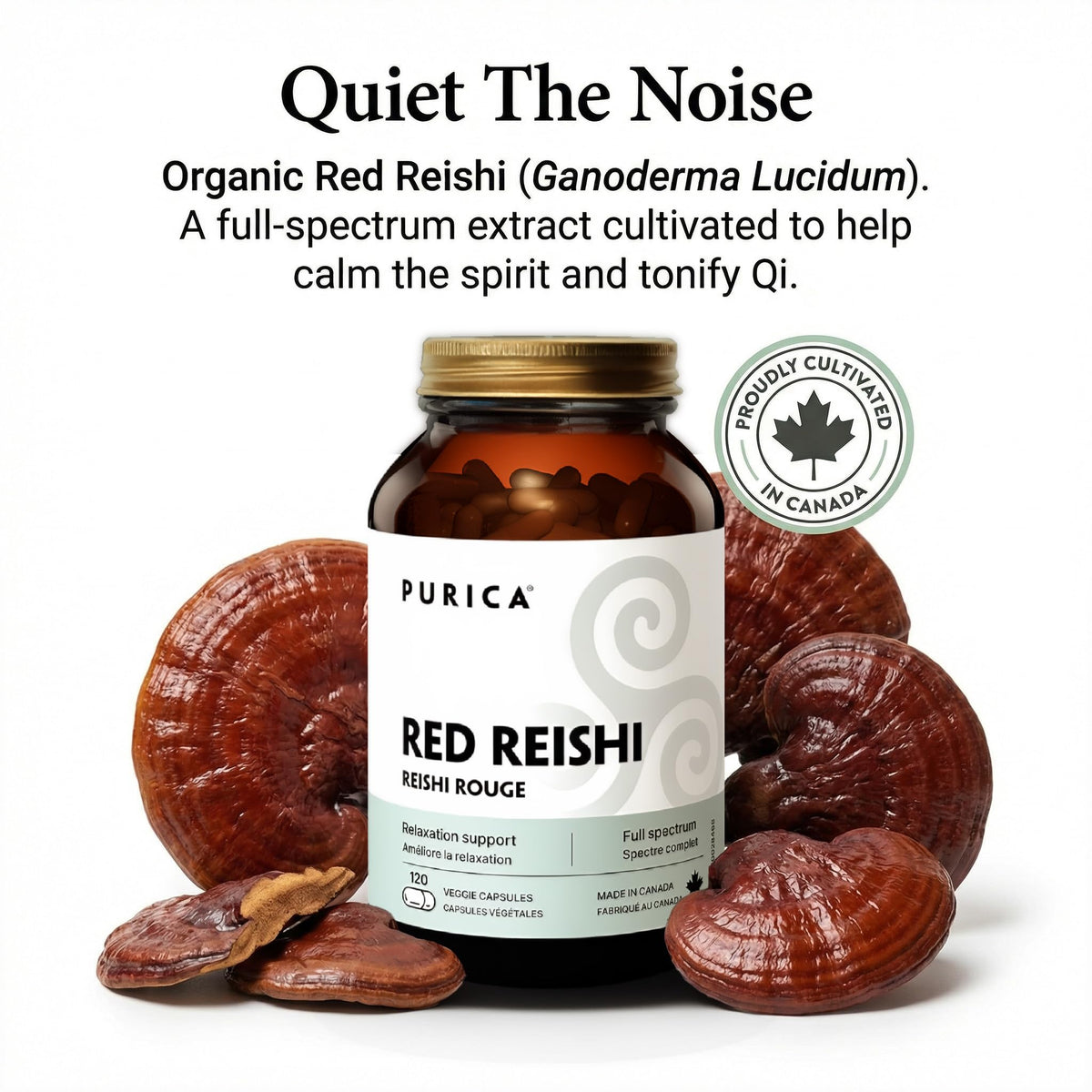 PURICA Certified Organic Reishi Mushroom Capsules, Micronized, 120 Capsules