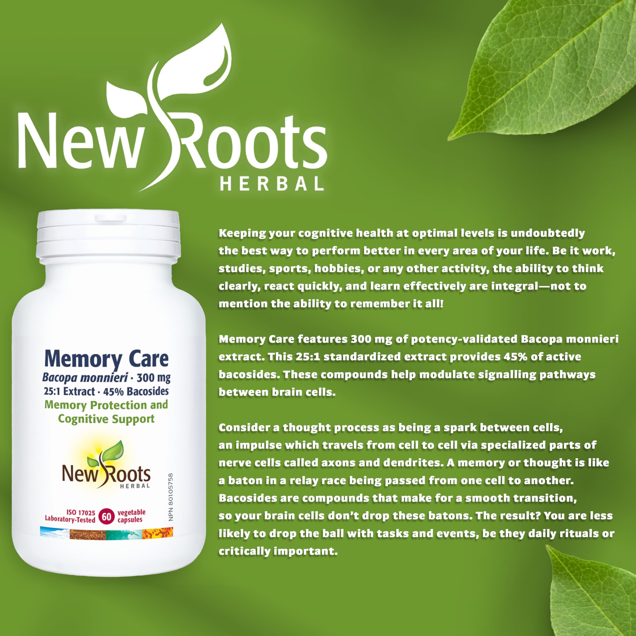 New Roots Herbal - Memory Care Bacopa Monnieri 300mg, 60 Capsules 60-Day Supply - Supplement for Cognitive Support & Memory Protection - Enhances Brain Function, Focus & Clarity - Gluten-Free Formula