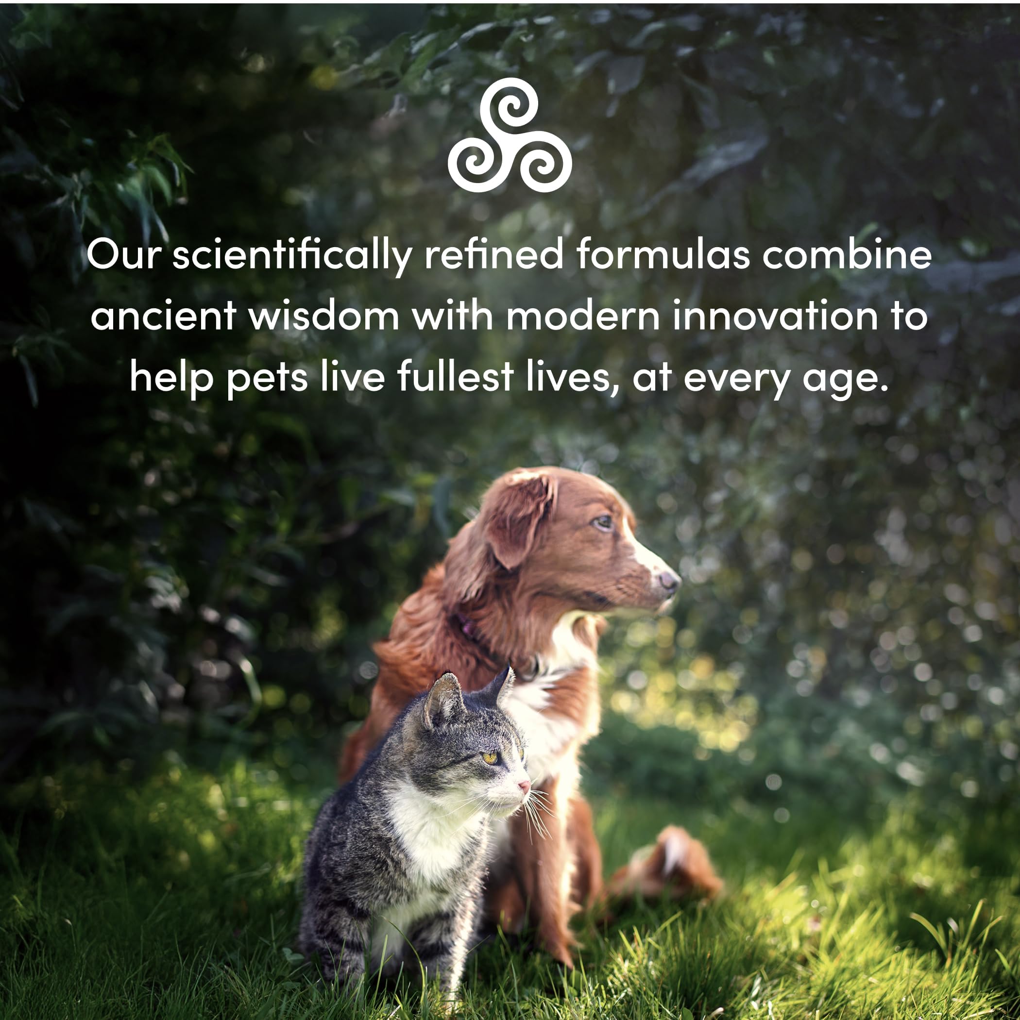 PURICA Récupération Animaux