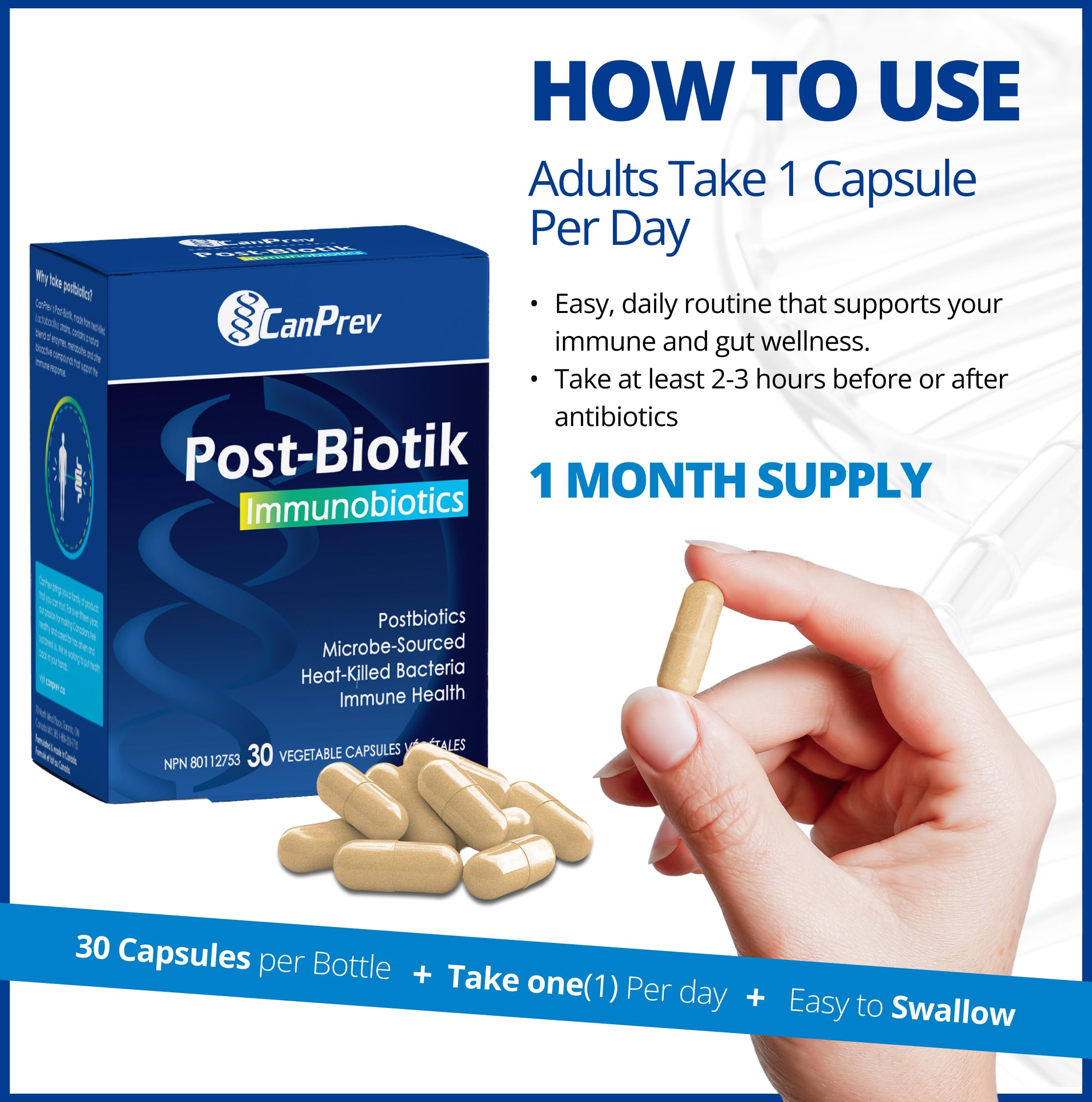 CanPrev Post-Biotik Immunobiotiques, 30 gélules végétales, approvisionnement de 30 jours - Postbiotique pour la santé intestinale - Soutien digestif et immunitaire - Enzymes pour supplément de digestion - Microbiome intestinal Lactobacillus Plantarum