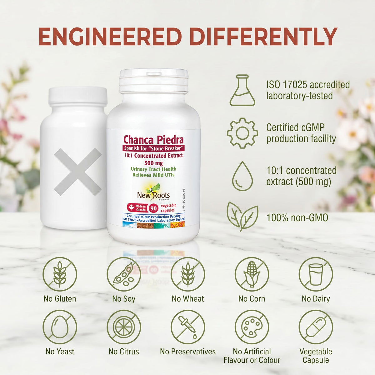 New Roots Herbal Chanca Piedra, 90 Plant-Based Capsules, 90 Day Supply for Optimal Urinary Tract Health and Digestion Support