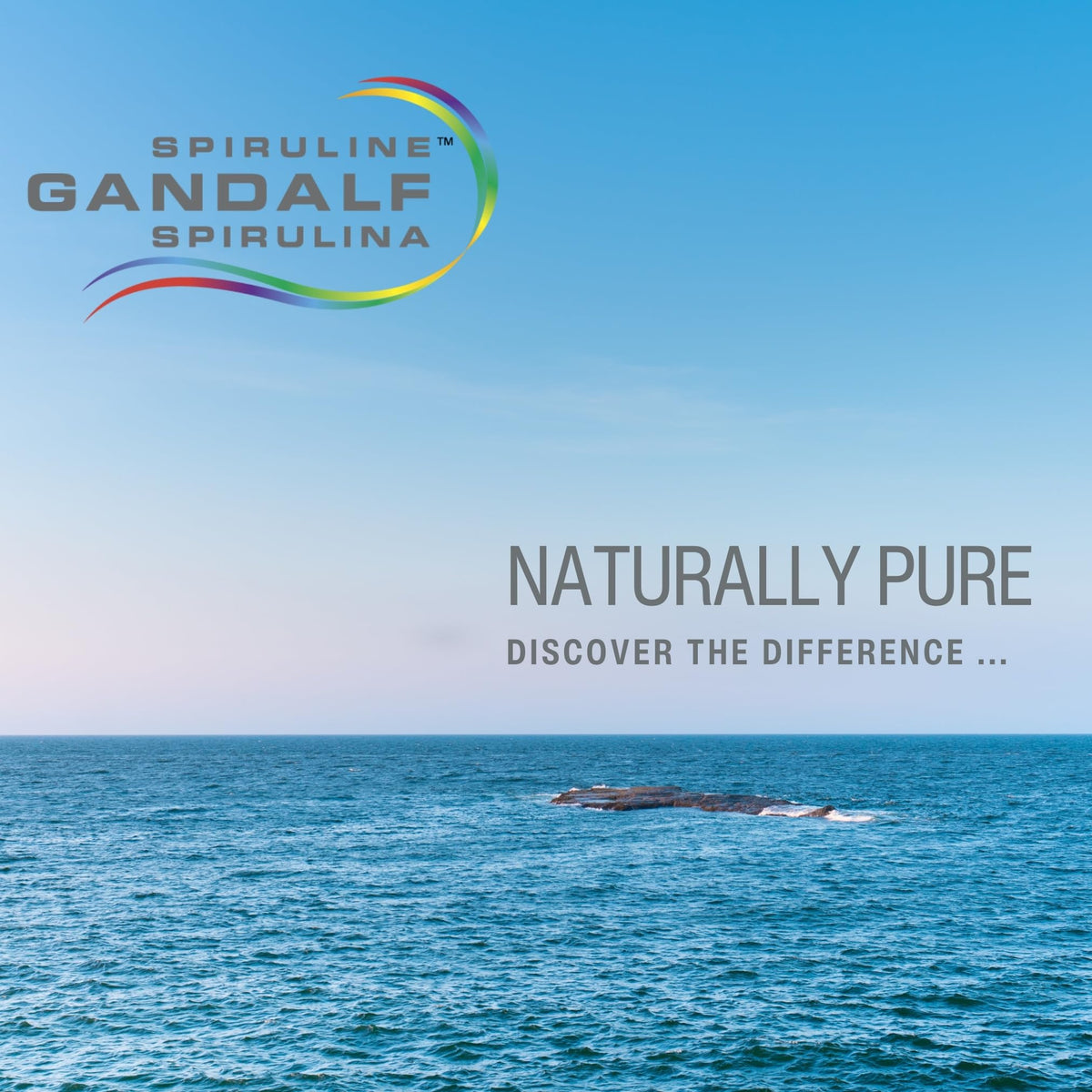 Gandalf Hawaiian Spirulina Powder, Cultivated in Hawaii, 1 kg, 200 Servings
