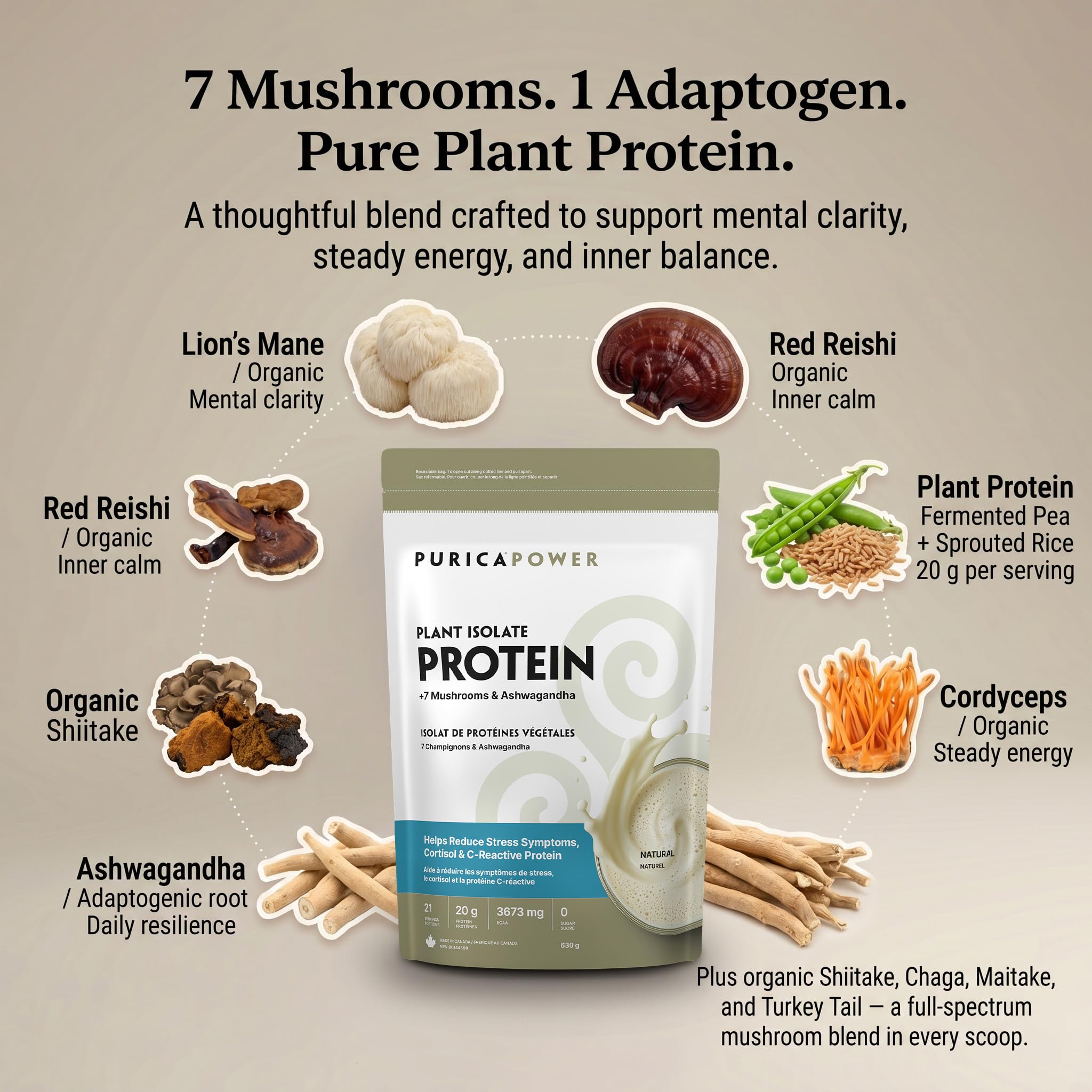 PURICA Plant Isolate Protein +7 Mushrooms & Ashwagandha Powder