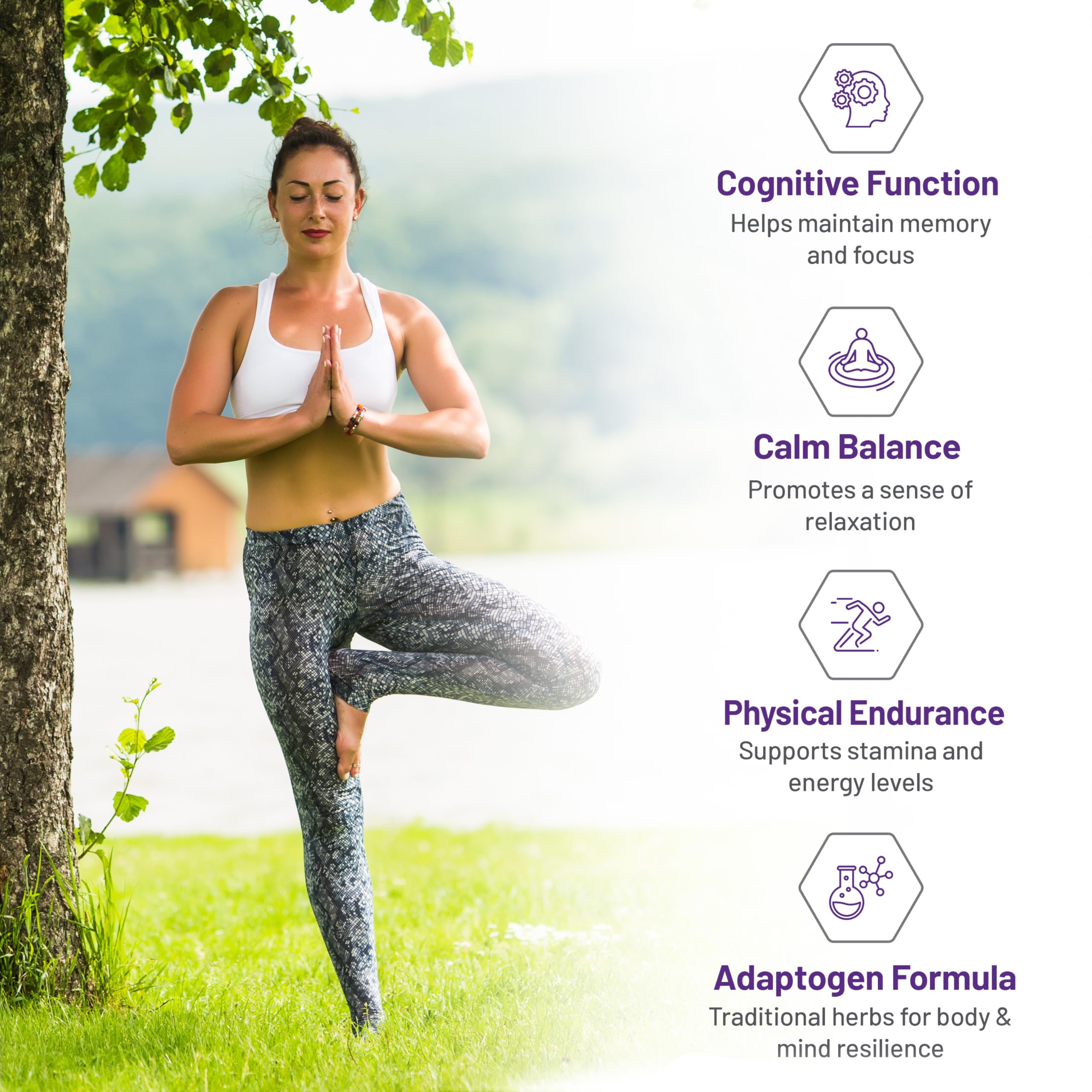 AOR Relax & Recharge 400mg 90 Caps 90-Day Supply - Rhodiola Rosea & Ashwagandha Extract, Herbal Supplement - Designed for Enhanced Focus & Mental Clarity, Support Calmness & Vitality, Vegan, Non-GMO